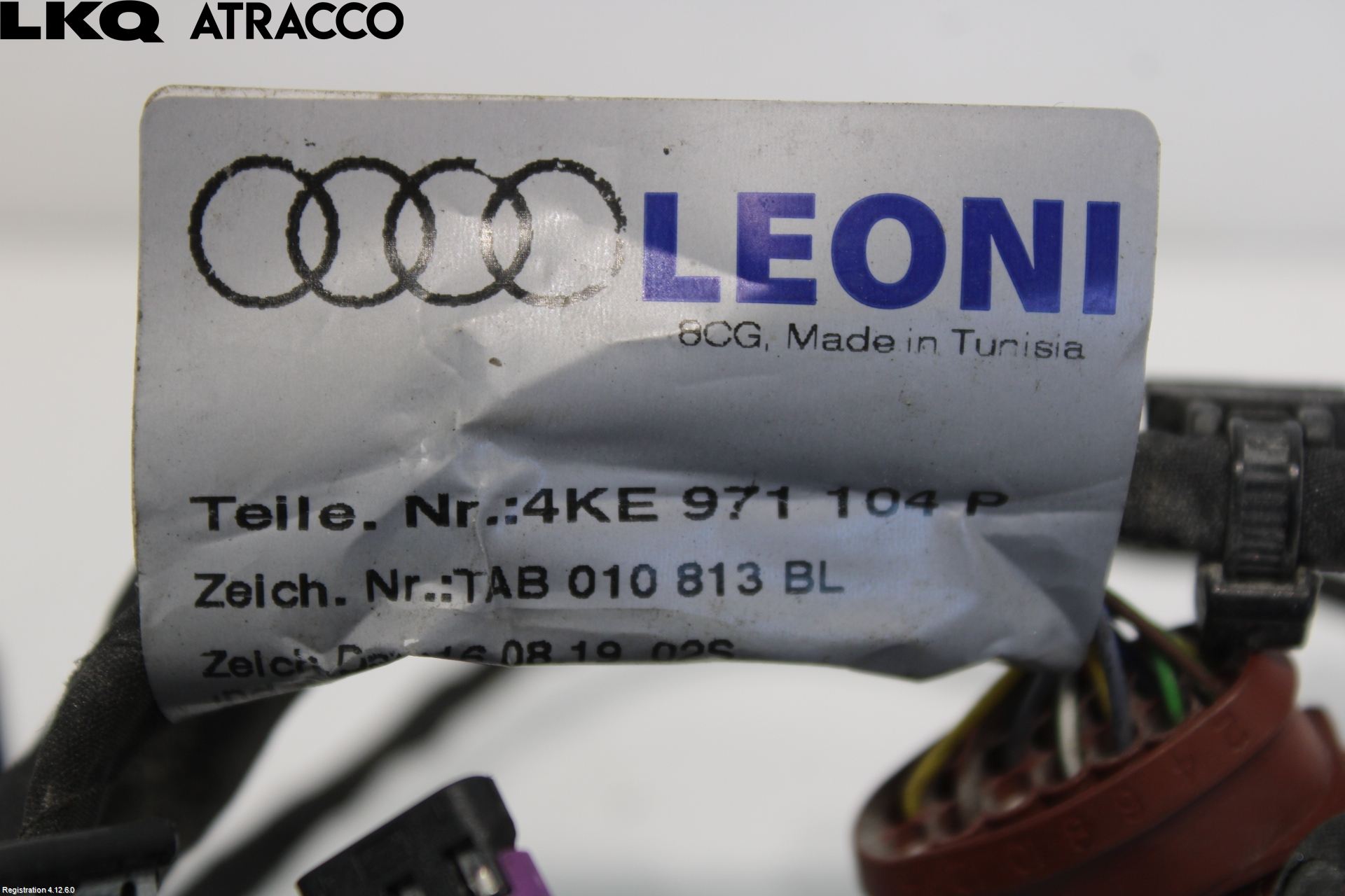 Audi E-TRON, S GE 19- Ledningsnett