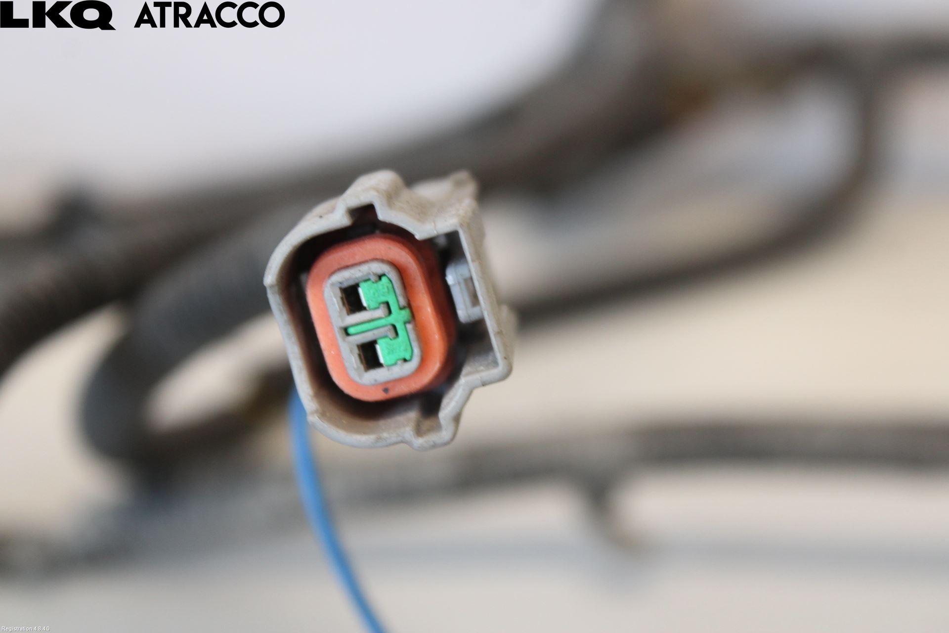 Kia CARENS III 13-19 Ledningsnett