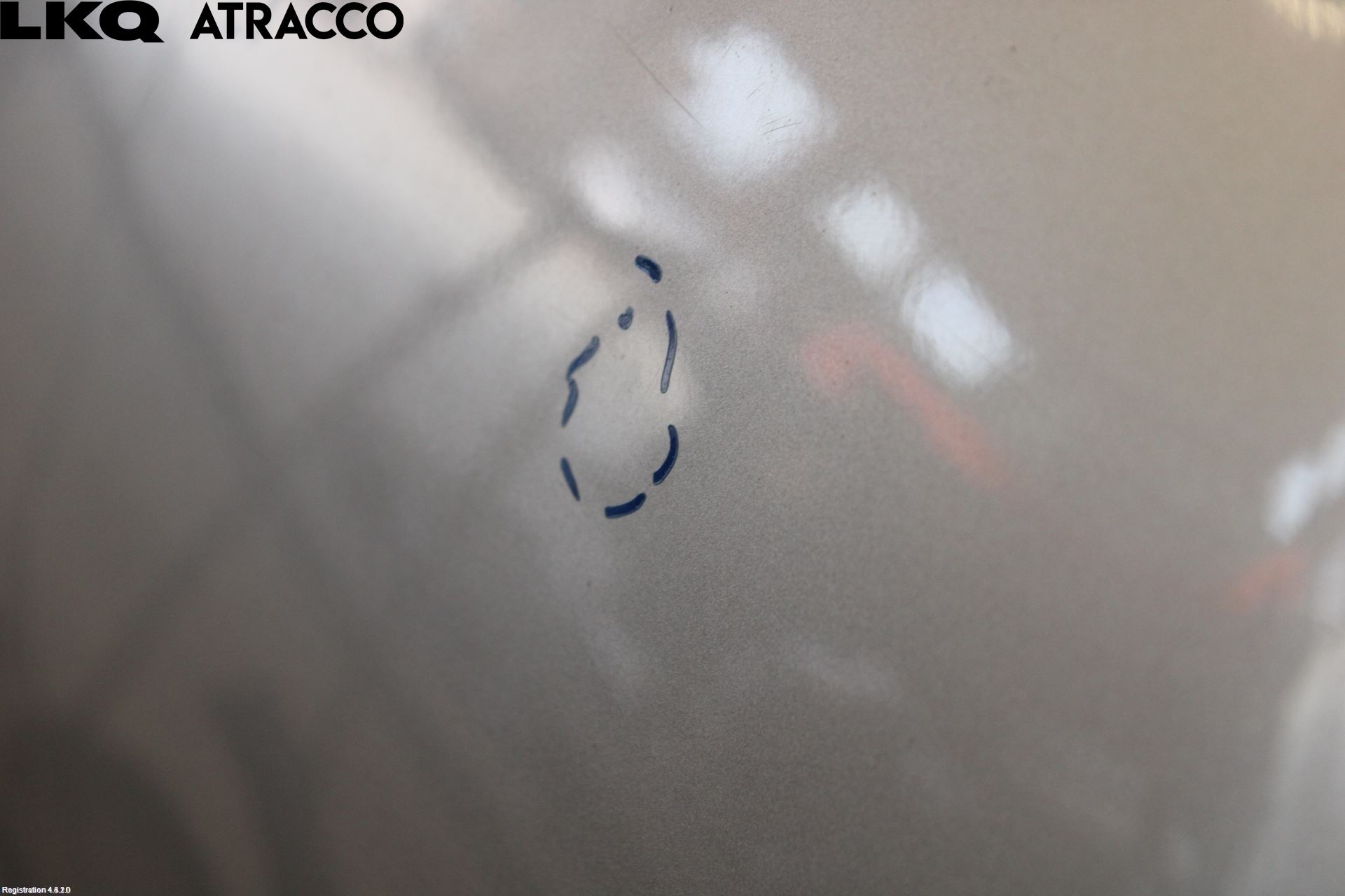 Mitsubishi GRANDIS Panser