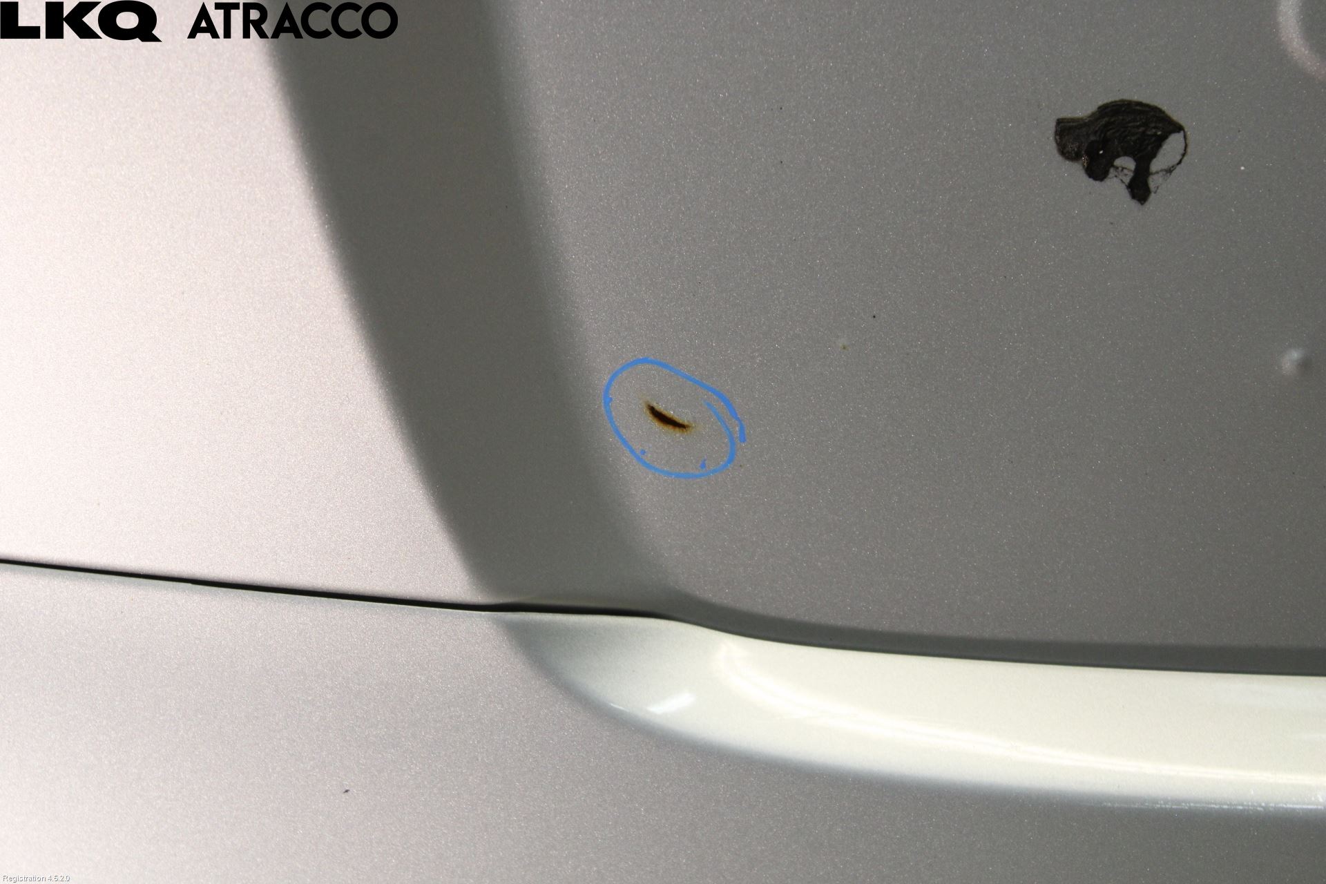 Toyota RAV 4 06-12 Bakluke Cc - Kombi