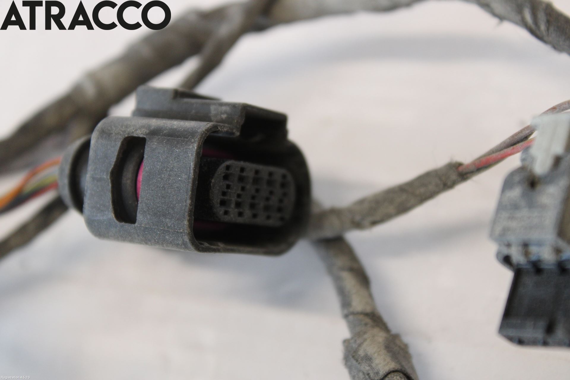 Volkswagen VW PASSAT 15-19 Ledningsnett