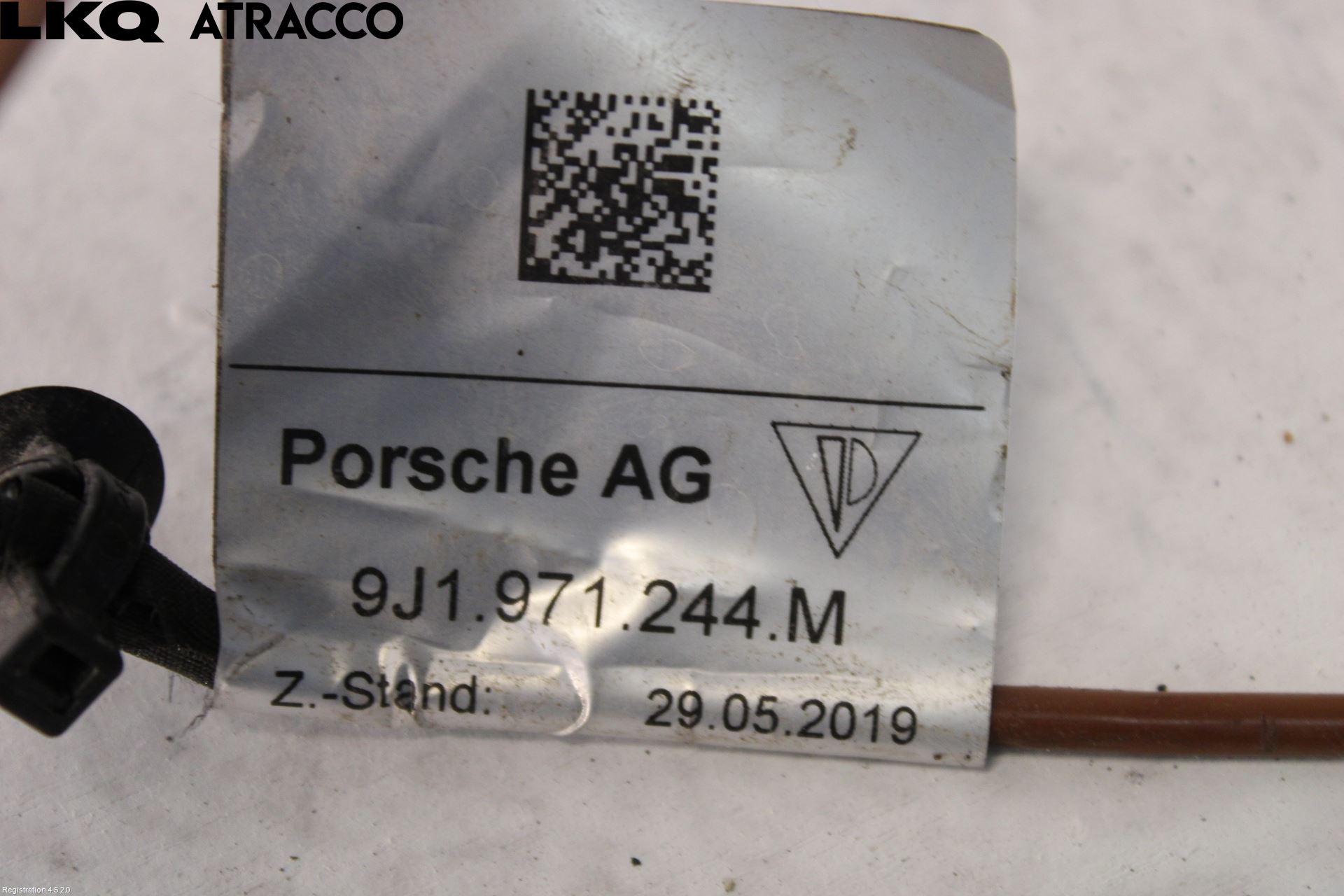 Porsche TAYCAN 20- Ledningsnett