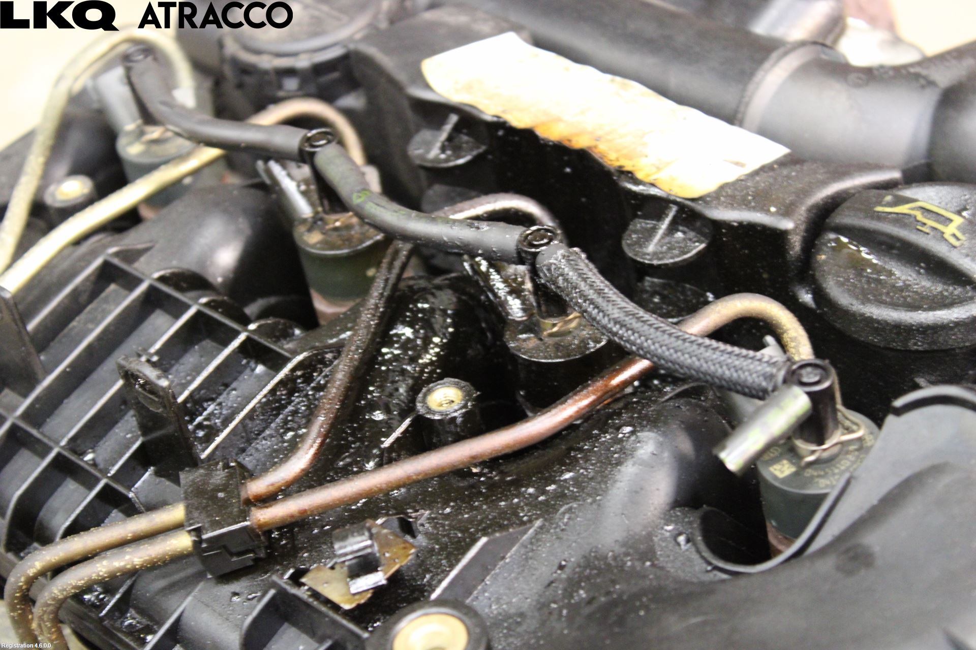 Ford FOCUS 08-11 Motor Diesel