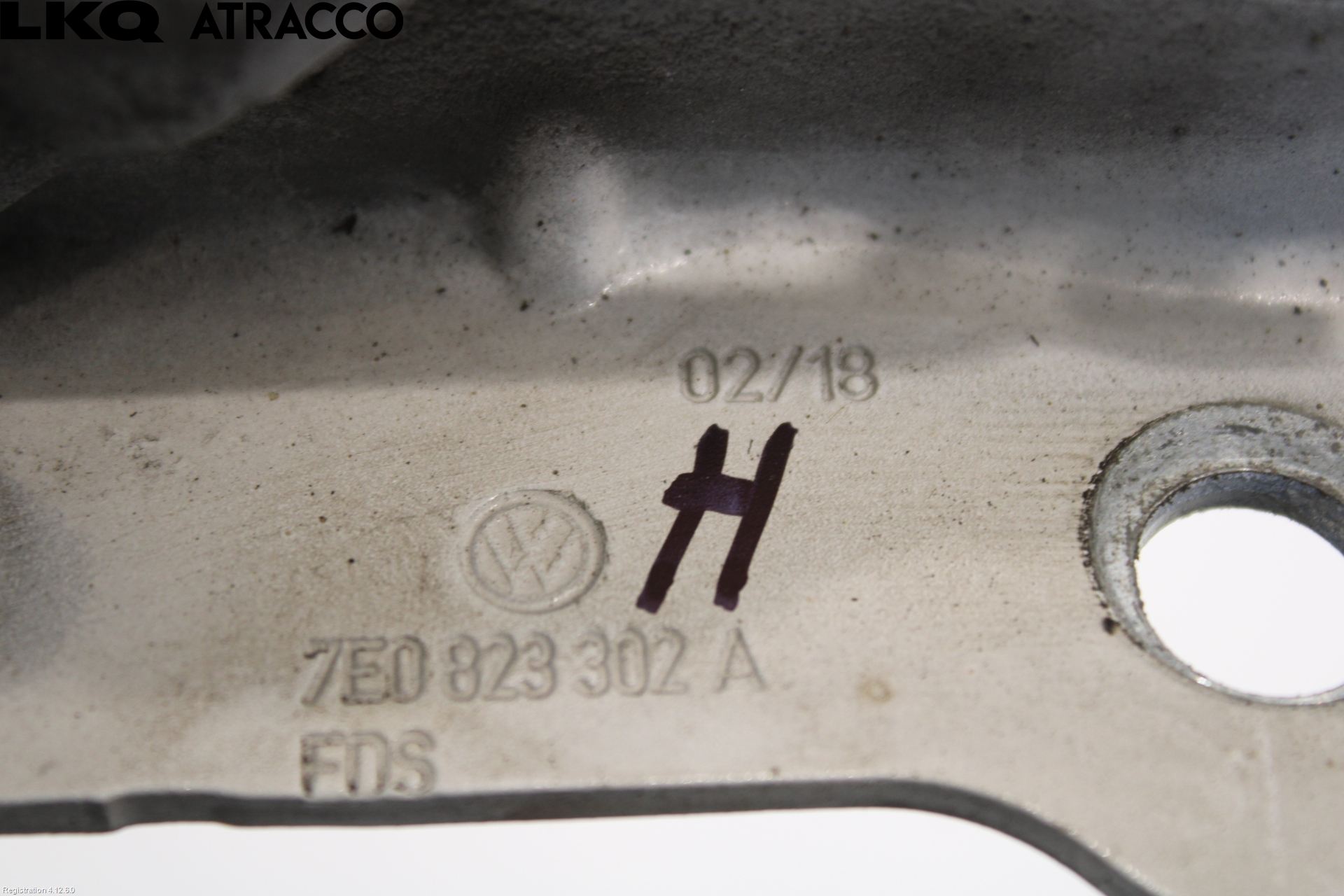 Volkswagen VW TRANSP/CARAVELLE (T6) 16-22 Panser Hengsel - Hengsler