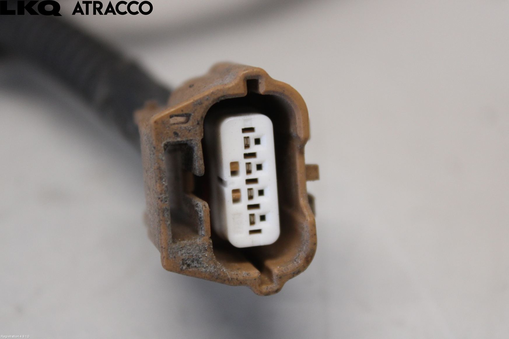 Renault MASTER III 15-20 Ledningsnett