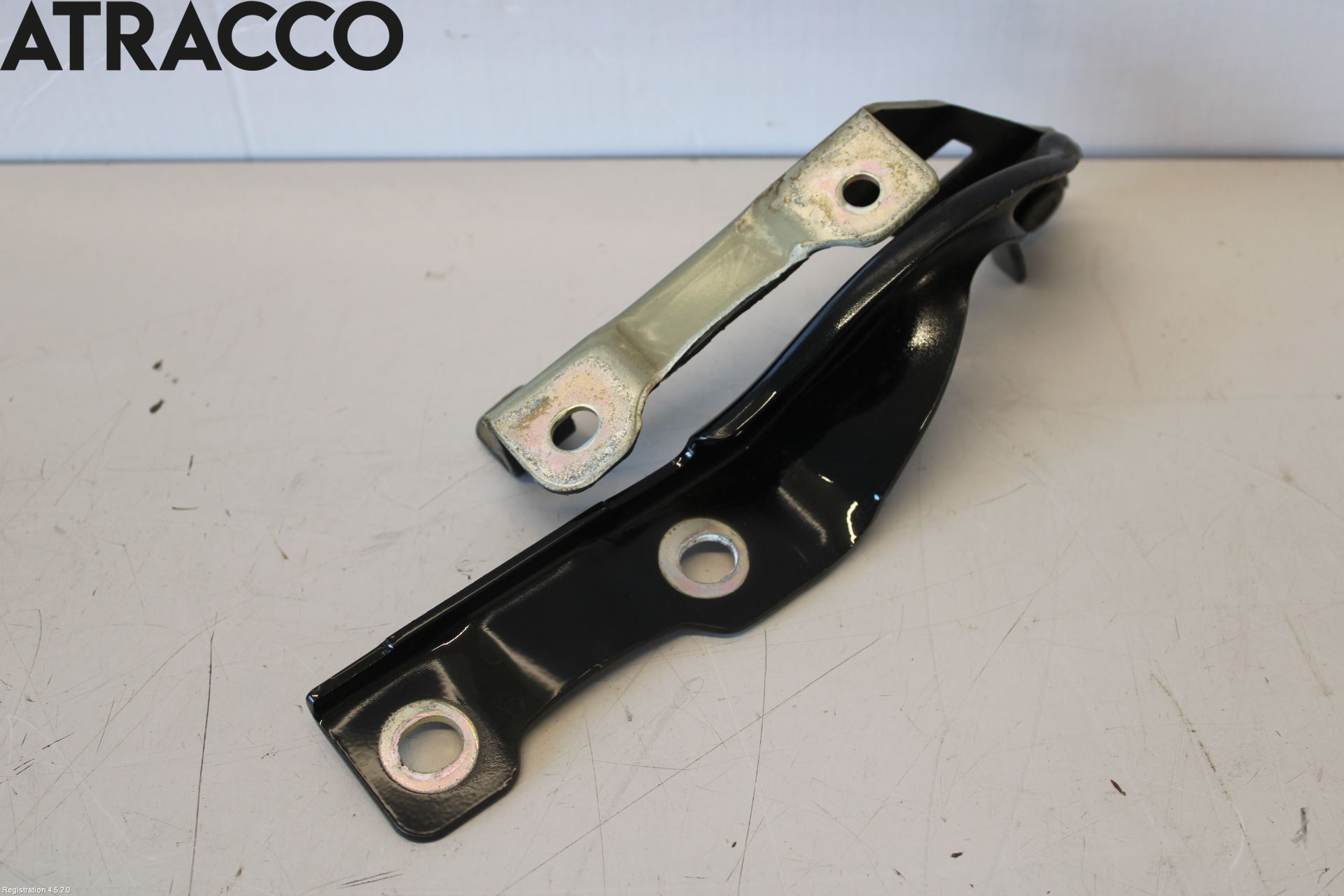 MG ZS EV 20- Panser Hengsel - Hengsler