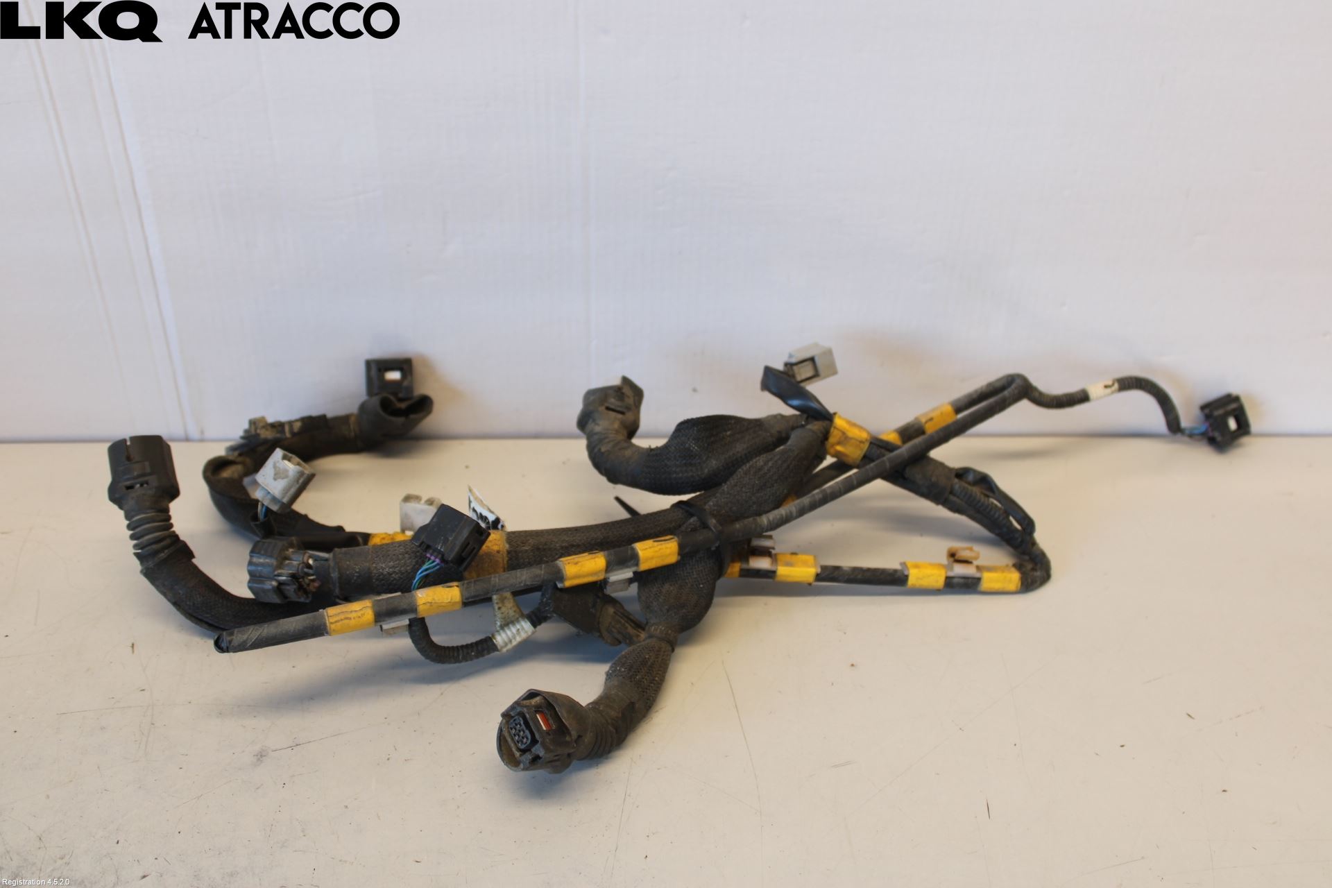 Toyota RAV4 13-18 Ledningsnett