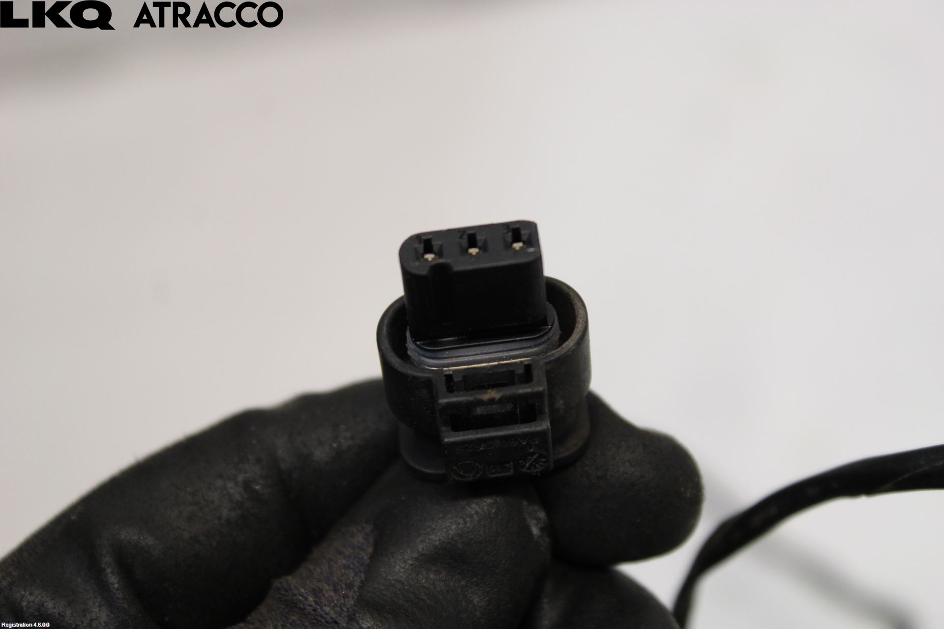 BMW 3 F30/F31/F80 12-19 Ledningsnett