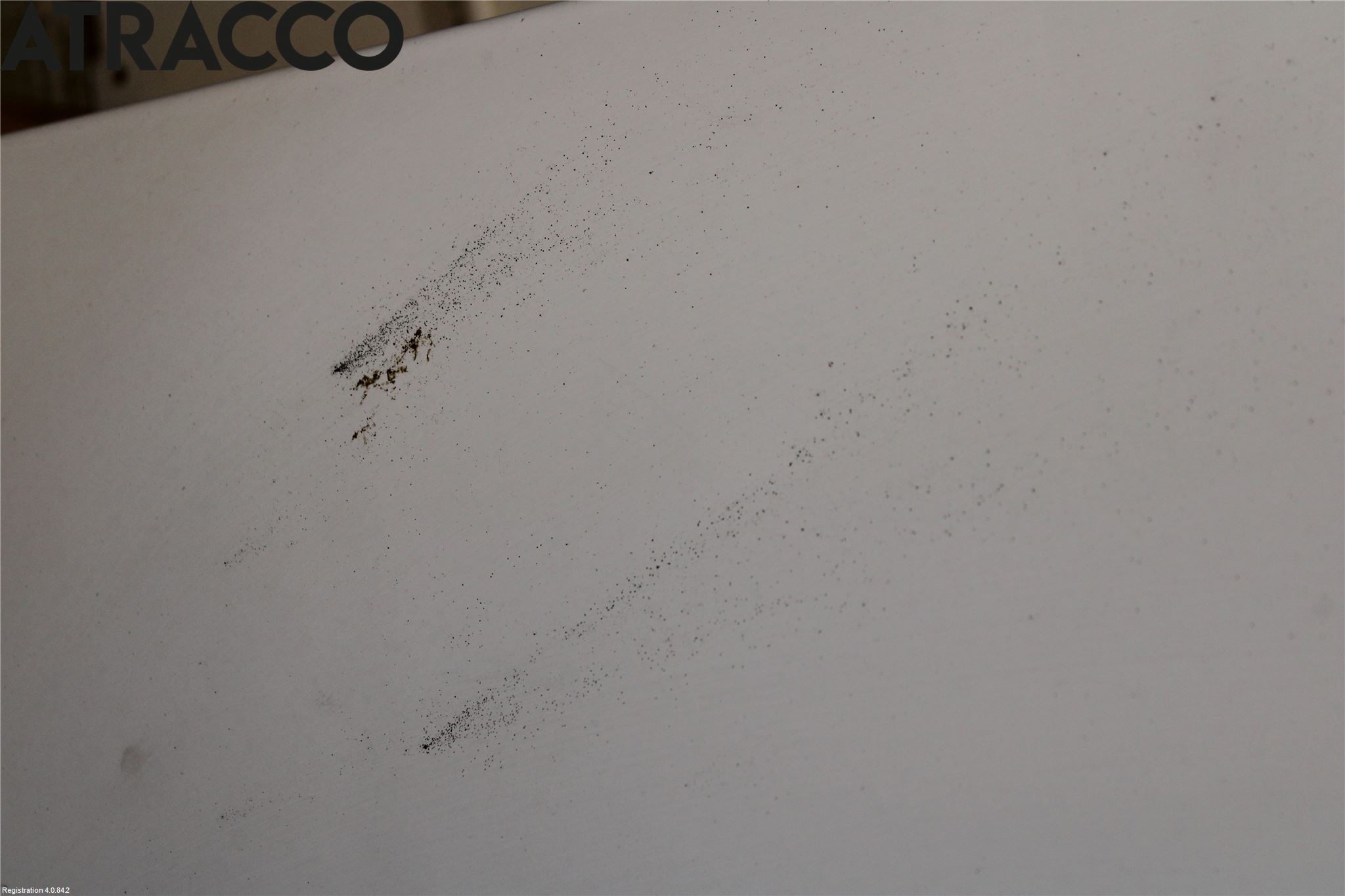 Ford TRANSIT CONNECT 03-08 Panser