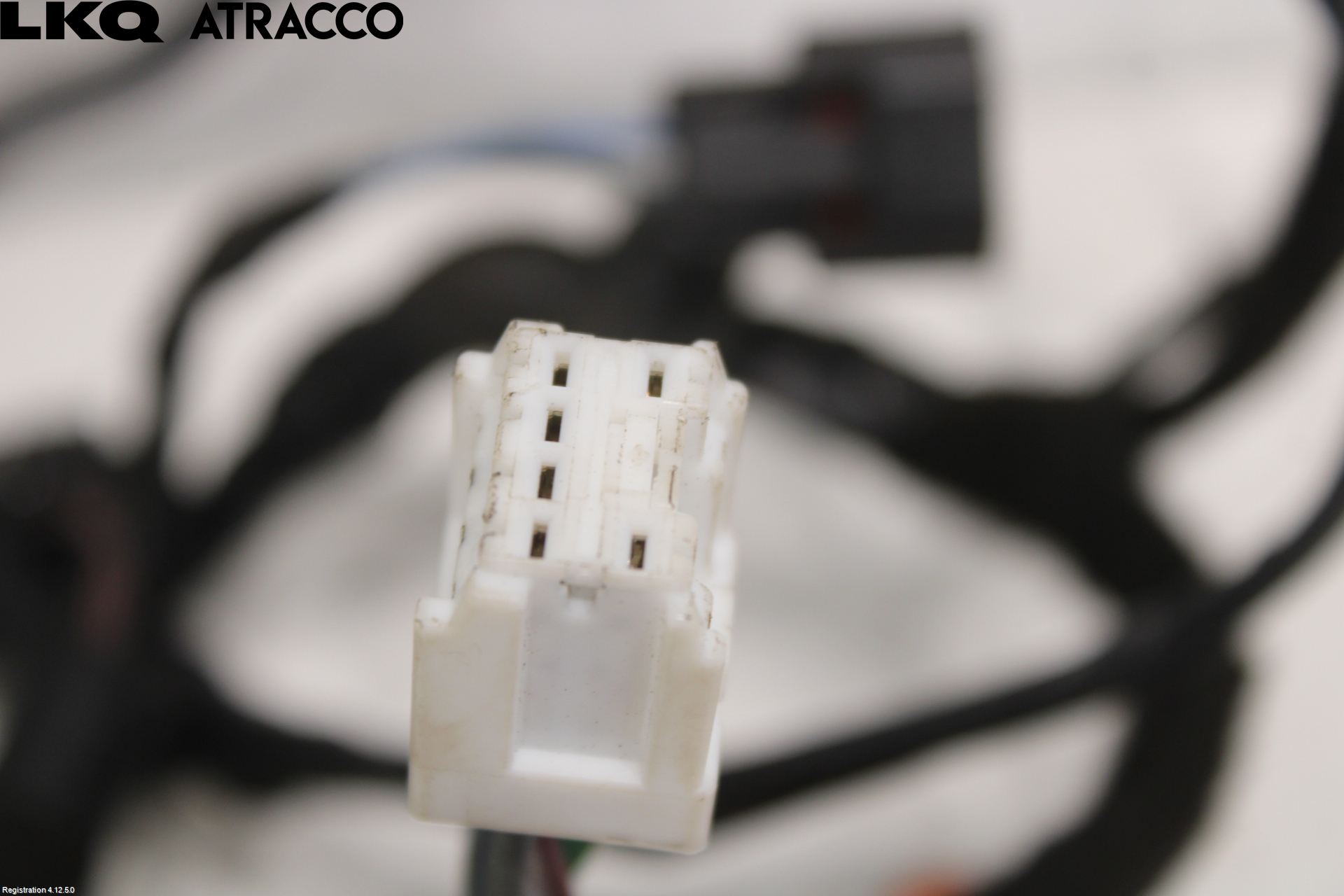 Renault ZOE/E-TECH 13- Ledningsnett