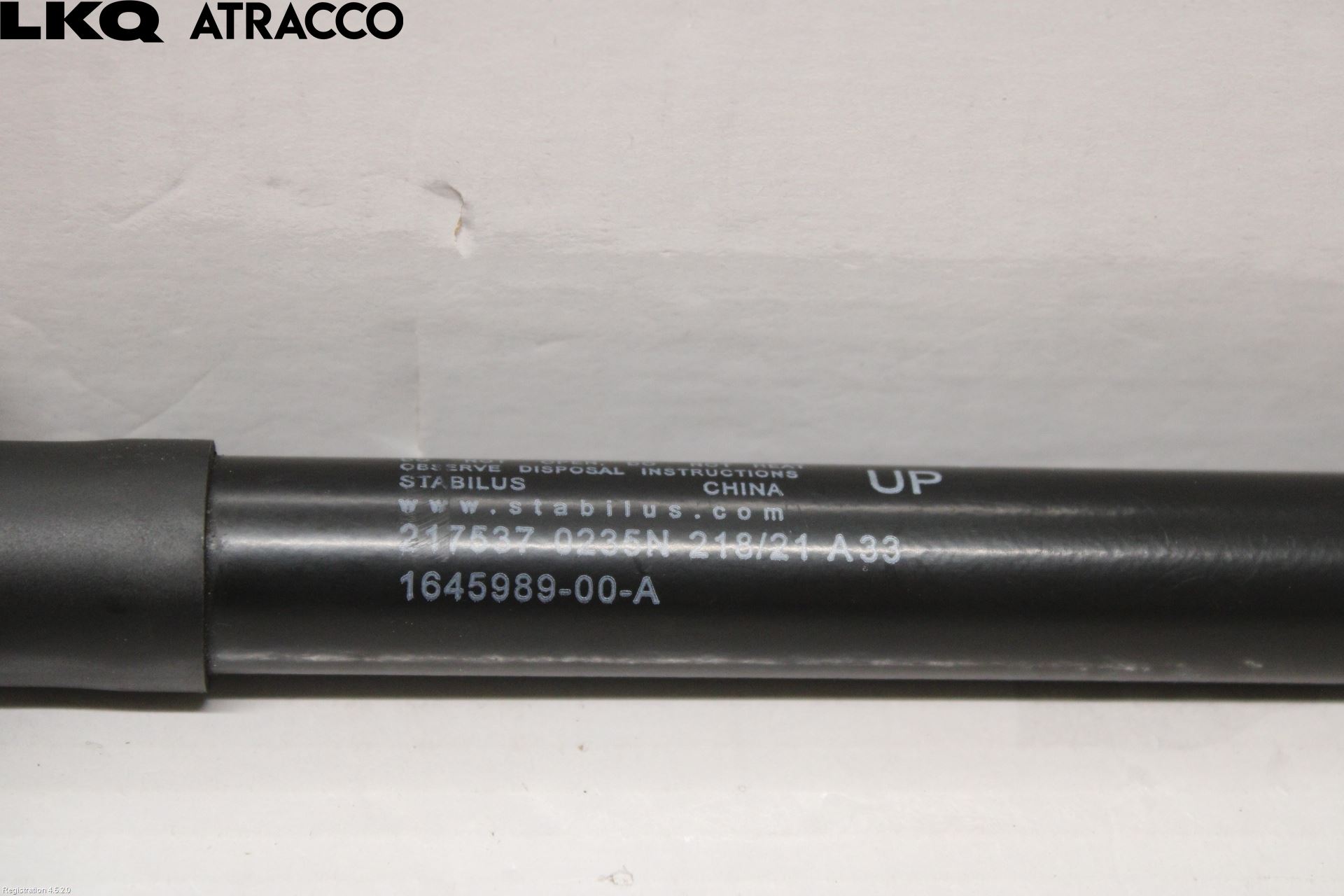 Tesla MODEL 3 17- Panser Demper-Gassfjær