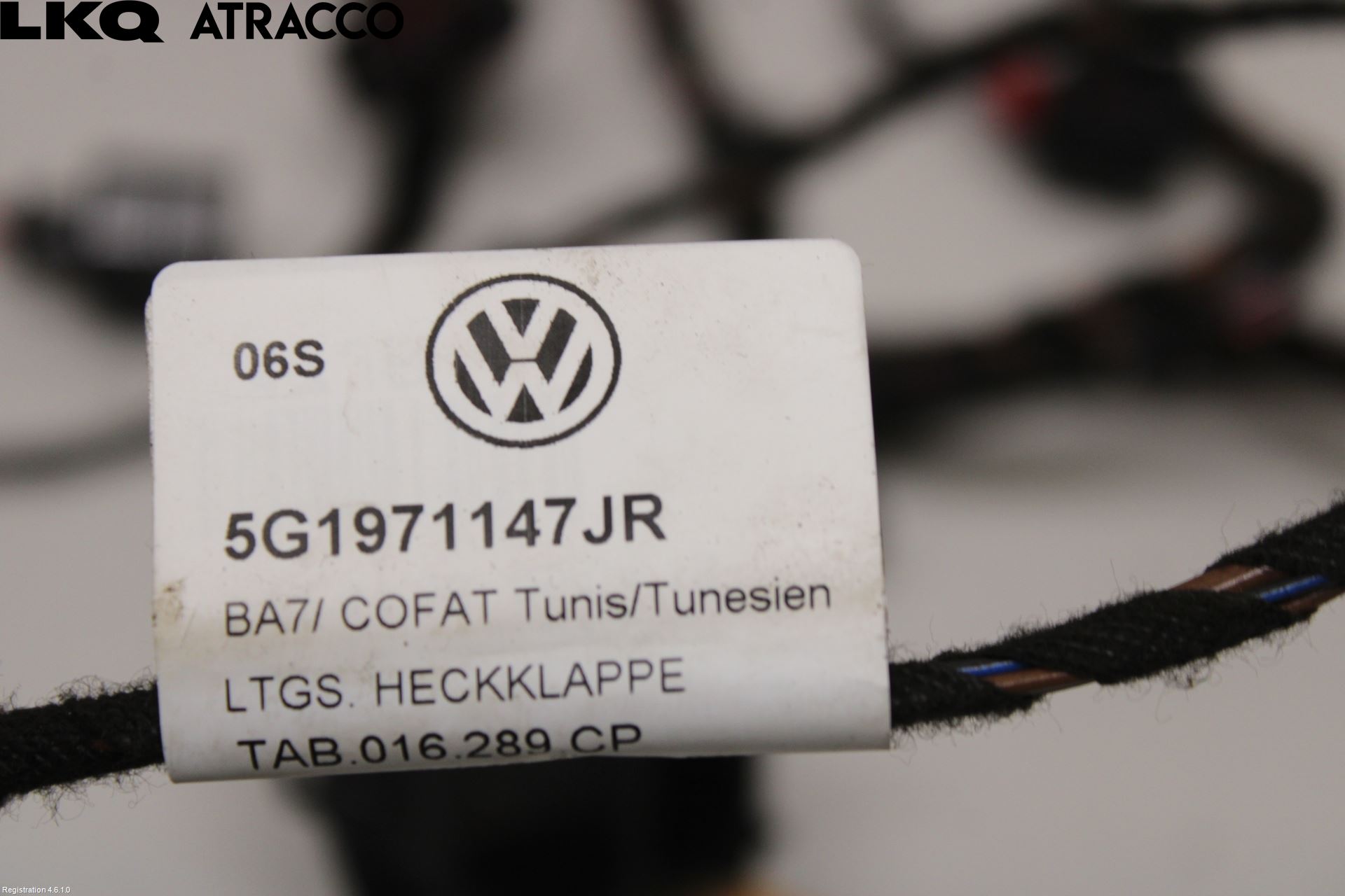 Volkswagen VW GOLF / E-GOLF VII 13-20 Ledningsnett