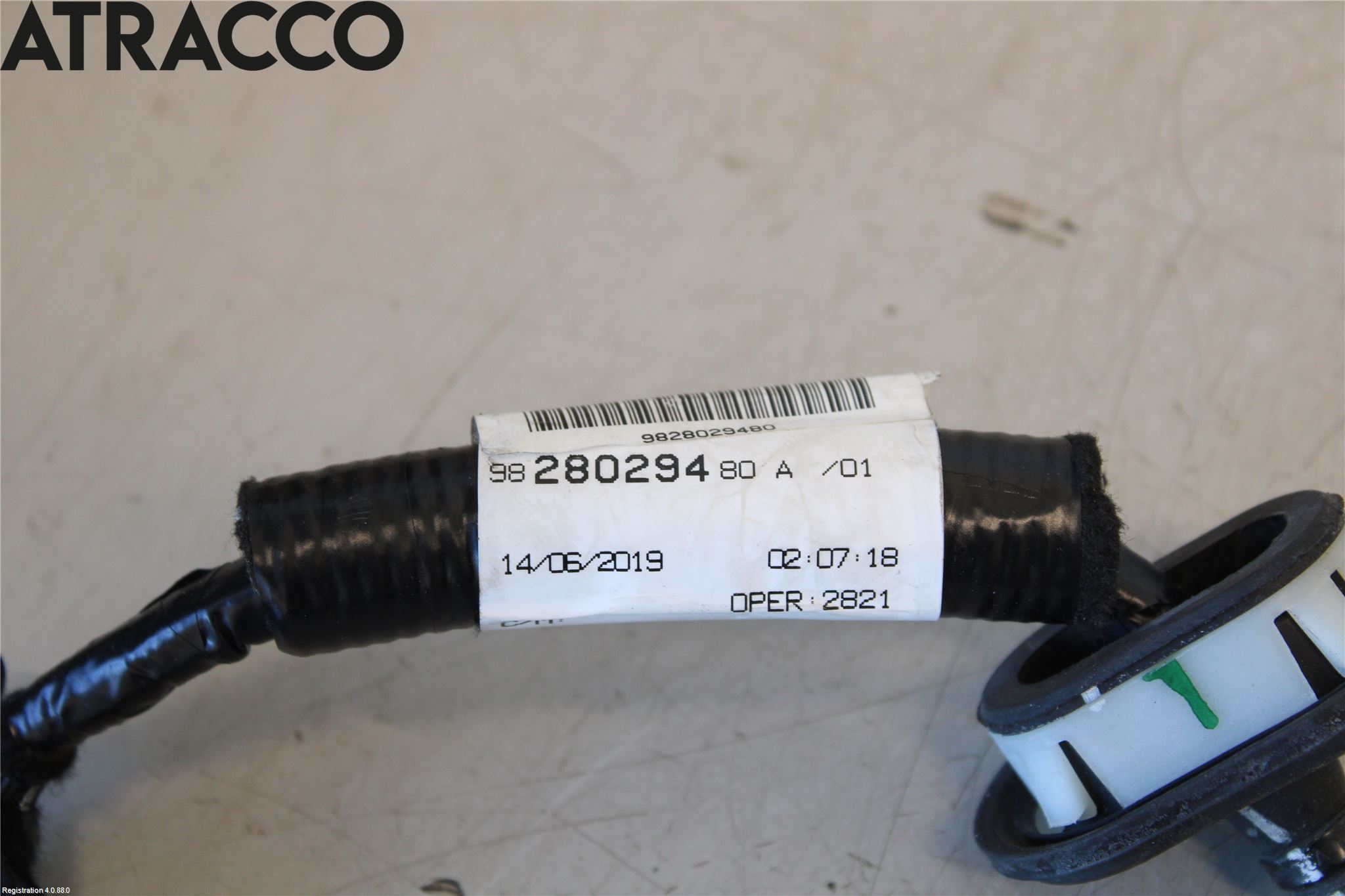 Peugeot PARTNER/E-PARTNER 19- Ledningsnett