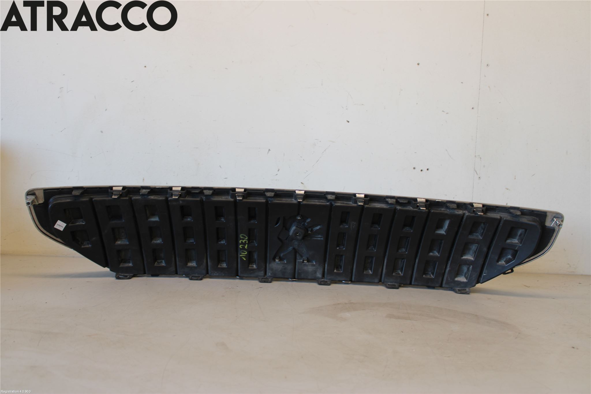 Peugeot EXPERT/E-EXPERT 17- Grill Komplett