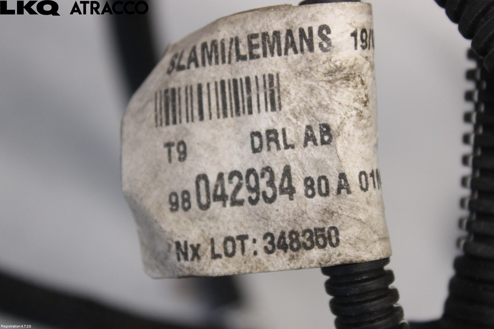 Peugeot 308 14-21 Ledningsnett