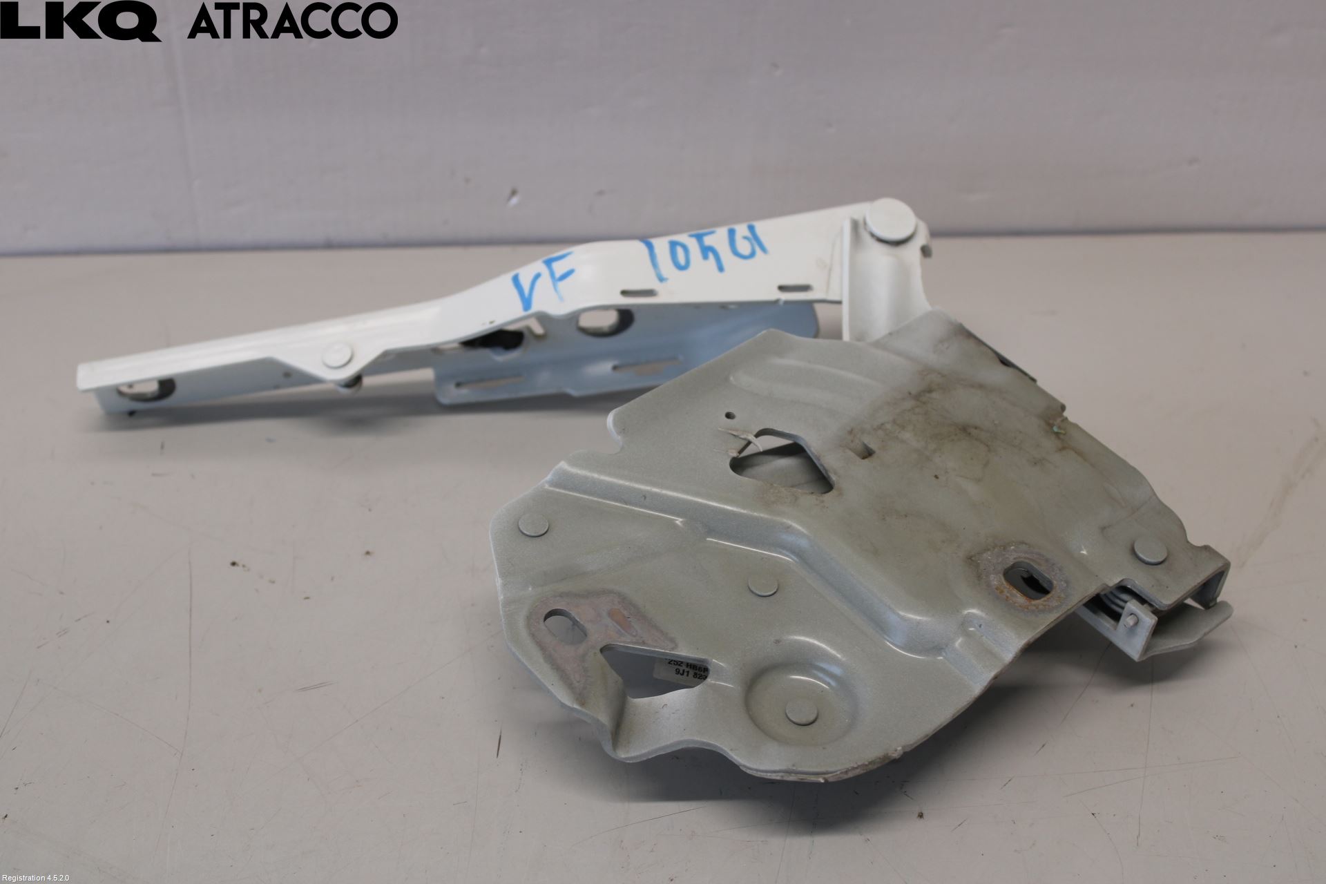 Porsche TAYCAN 20- Panser Hengsel - Hengsler