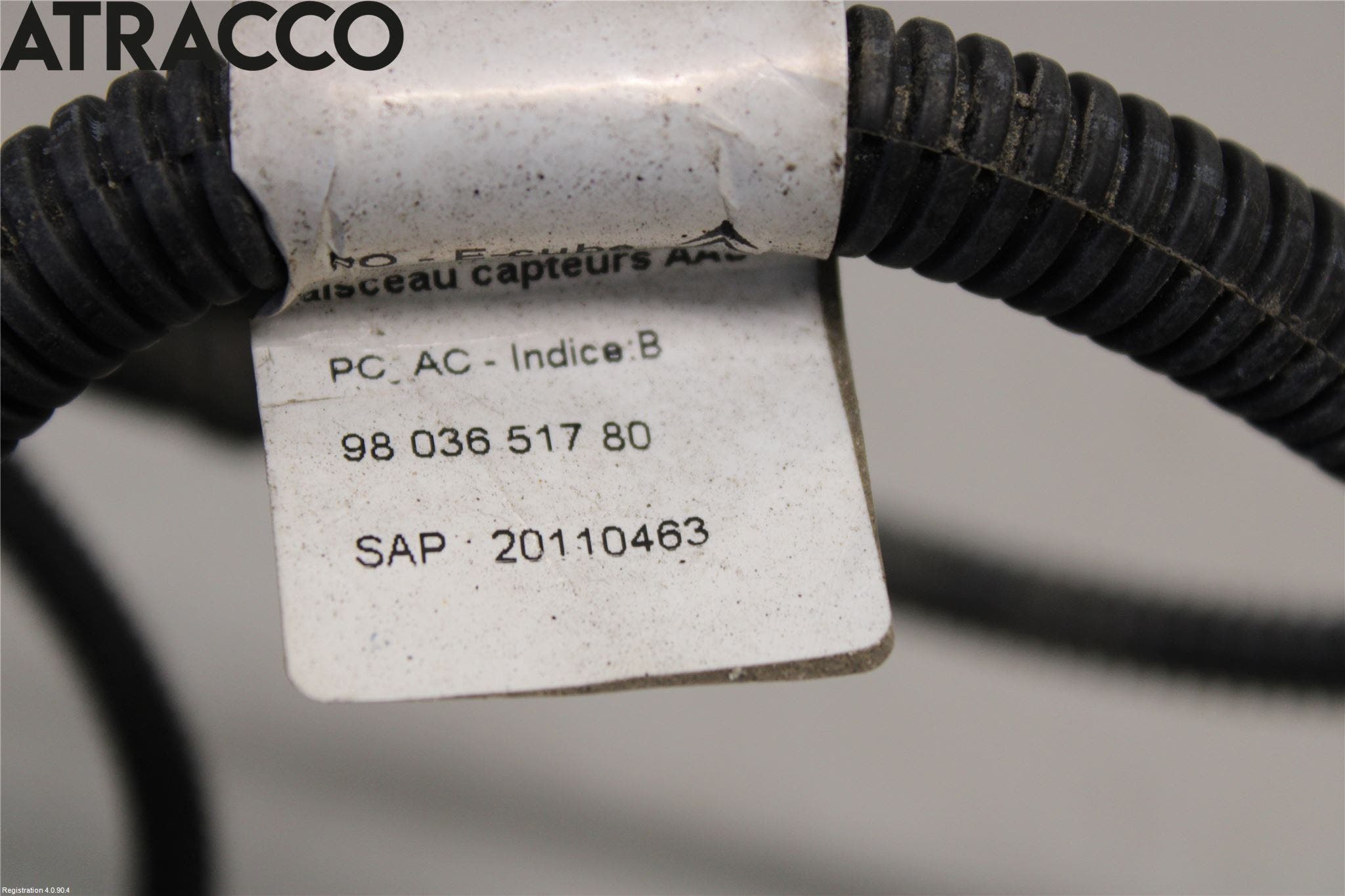 Citroen C4 CACTUS 14-20 Ledningsnett