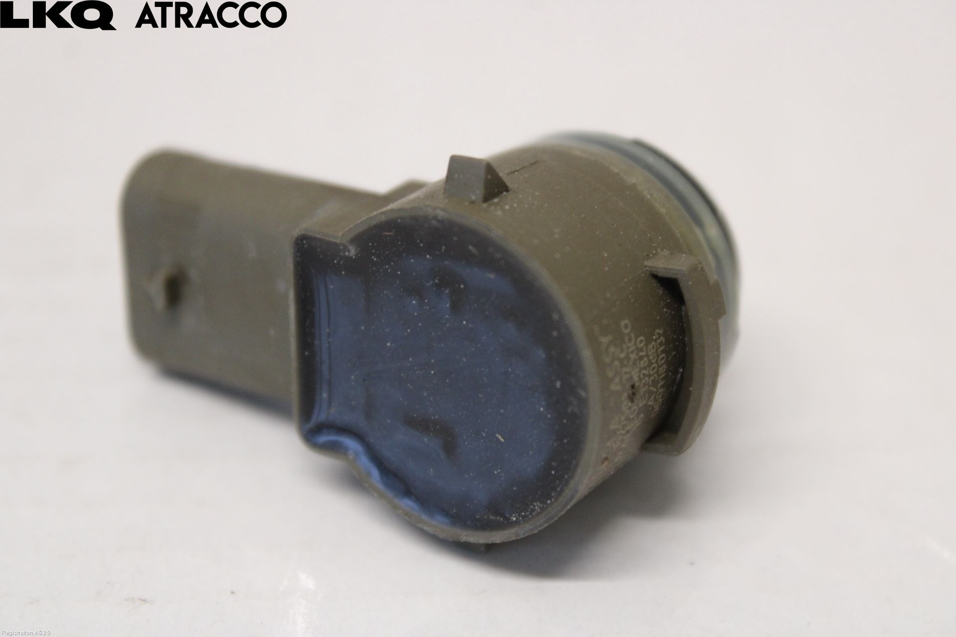 Tesla MODEL S 13- Sensor Ryggesensor