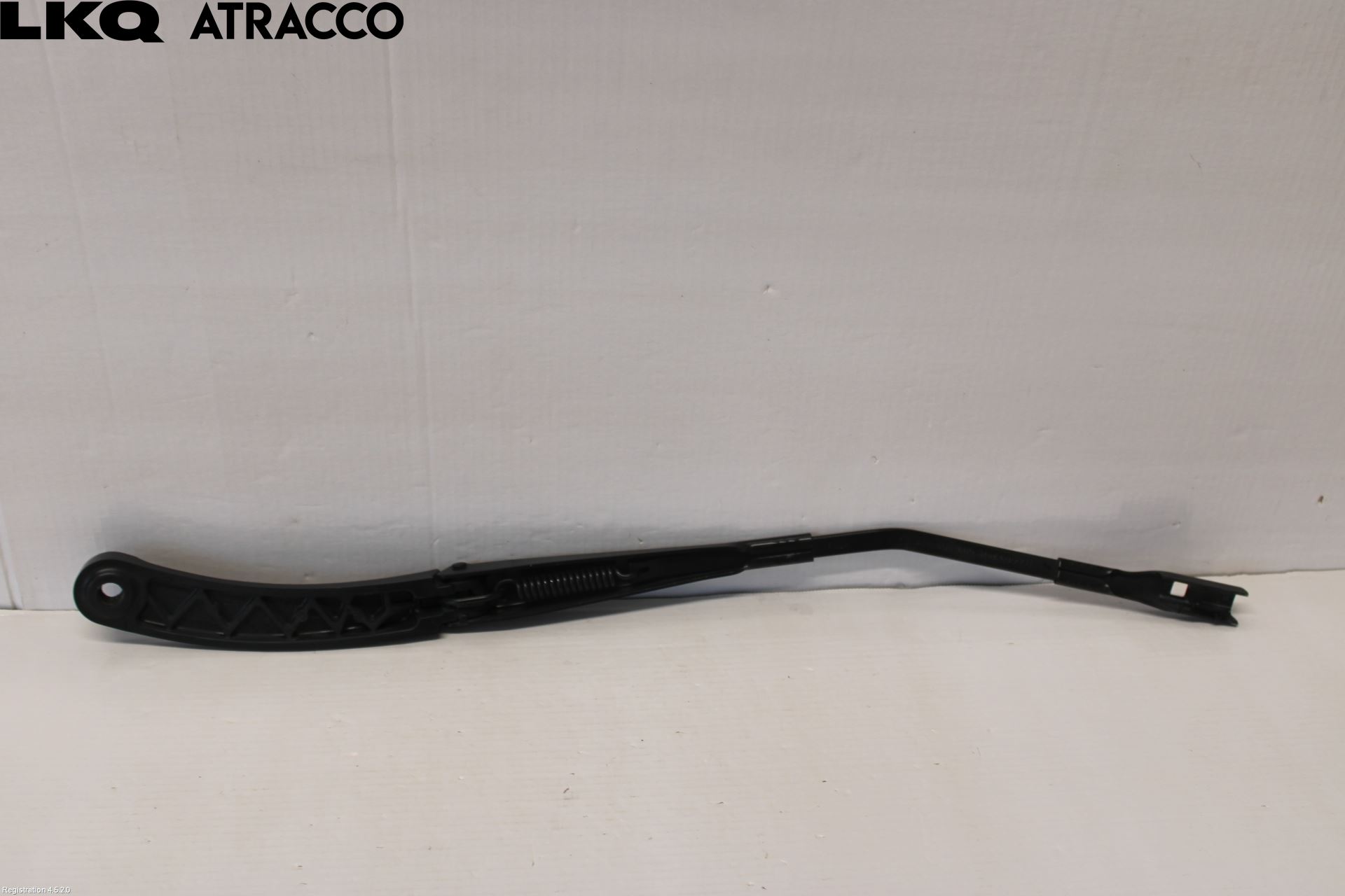 Porsche TAYCAN 20- Viskerarm-Armer Frontrute