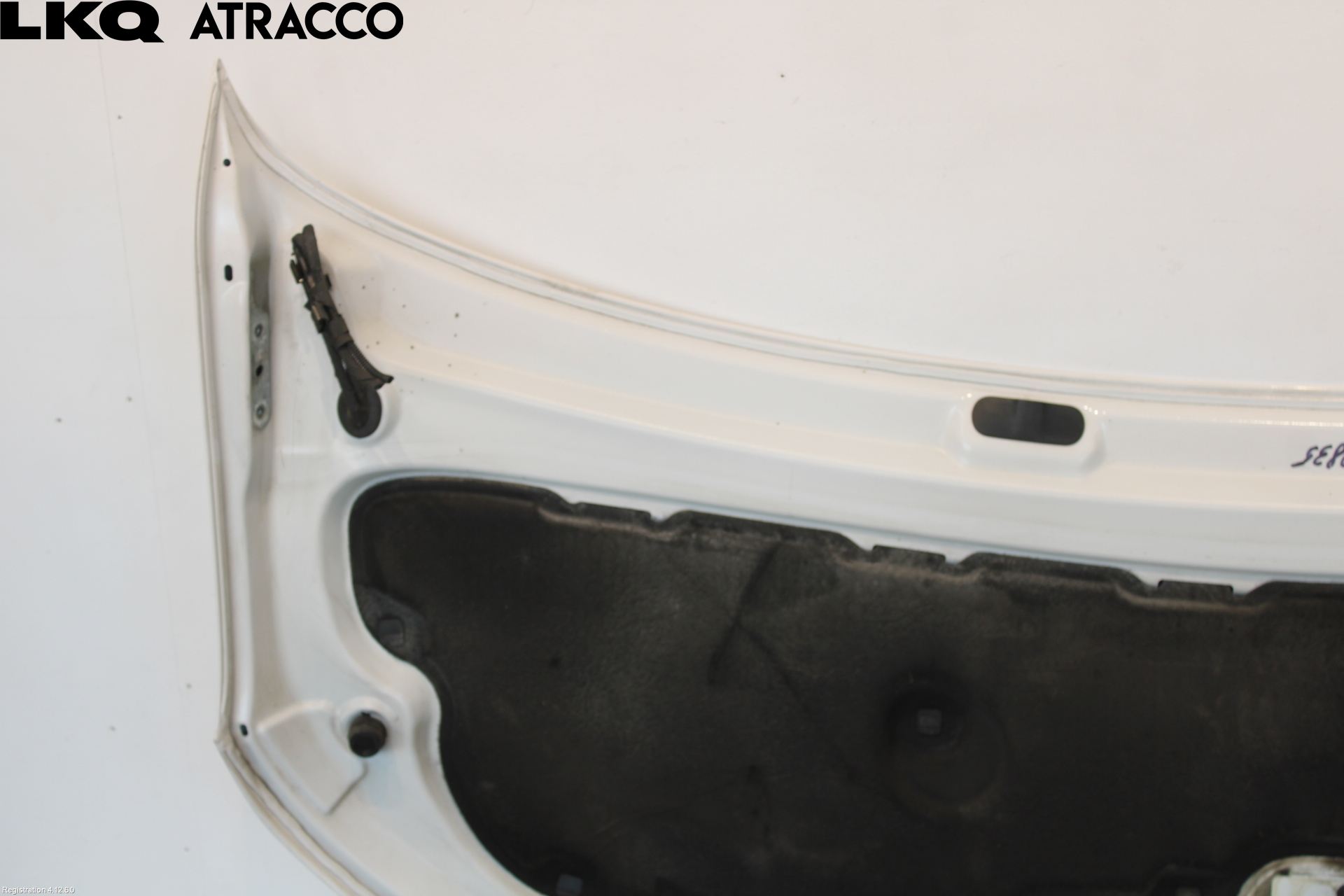 Volkswagen VW TRANSP/CARAVELLE (T6) 16-22 Panser