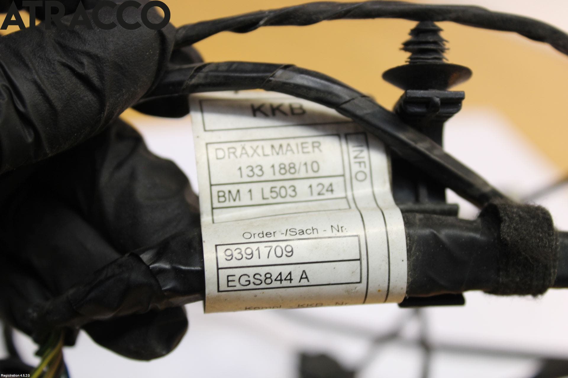 BMW i3 I01 13-22 Ledningsnett