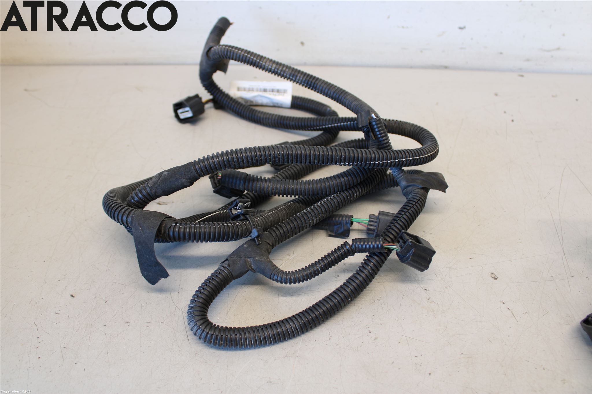 Renault CAPTUR 13-19 Ledningsnett