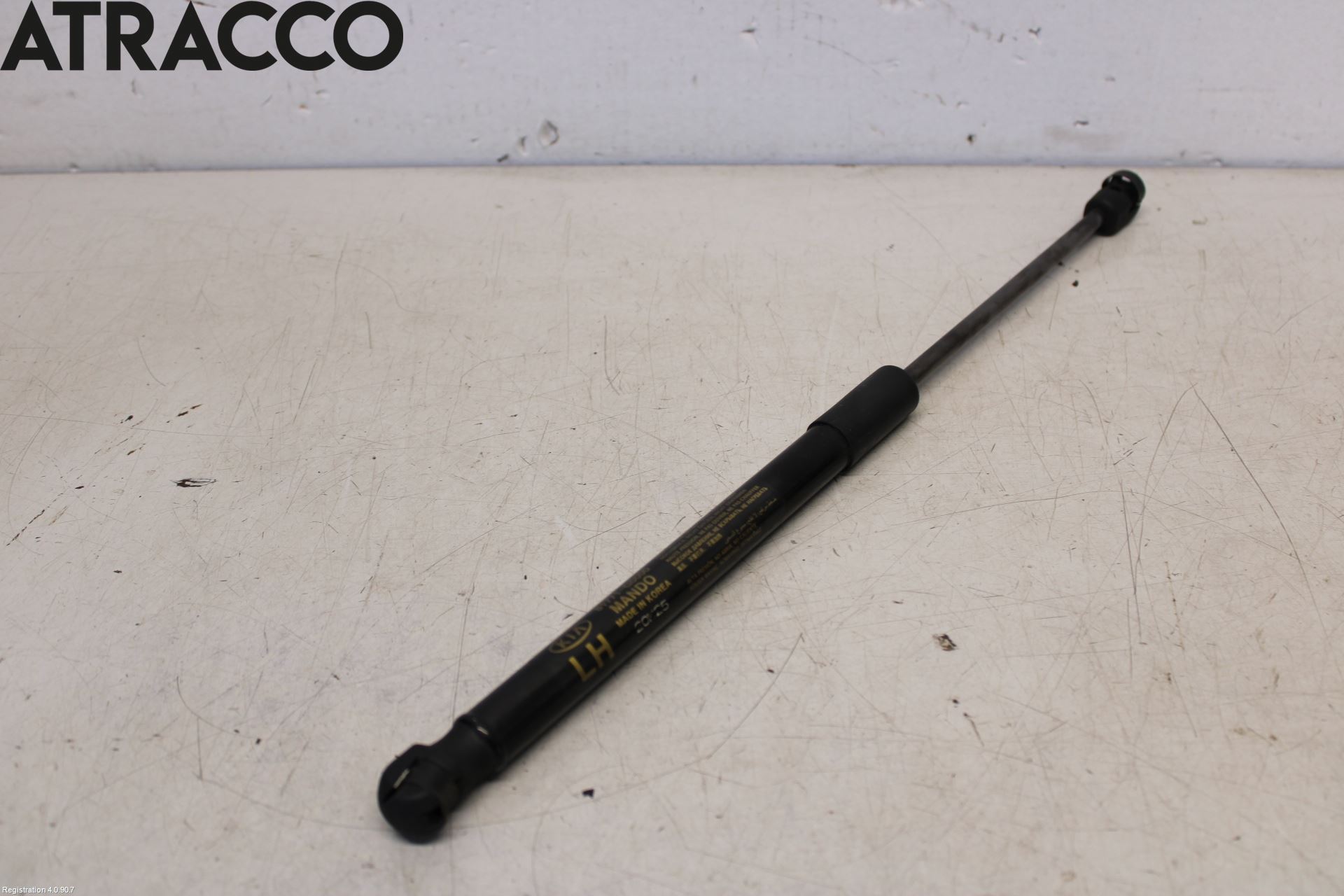 Kia NIRO (DE) 17-22 Bakluke Demper-Gassfjær