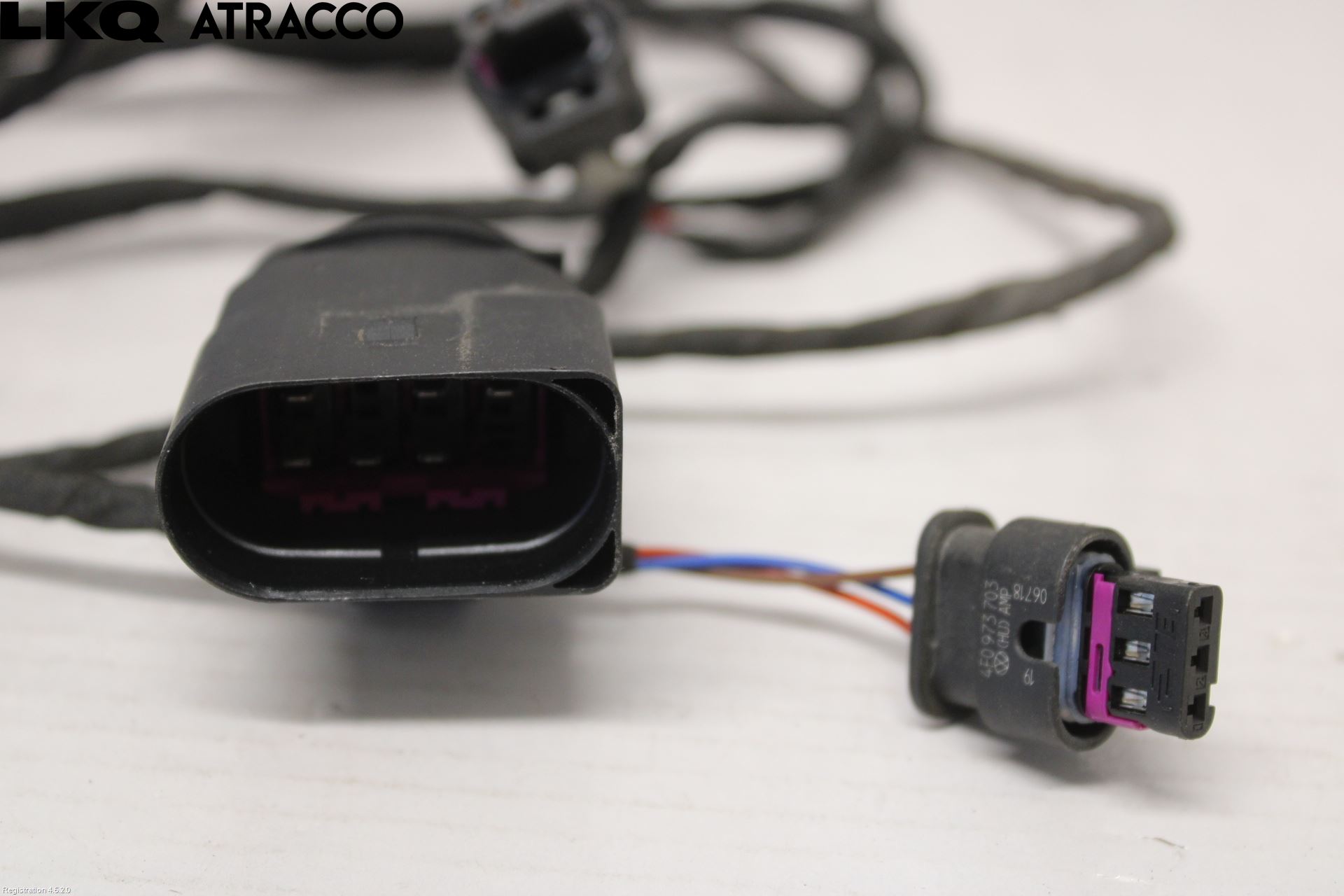 Volkswagen VW GOLF / E-GOLF VII 13-20 Ledningsnett