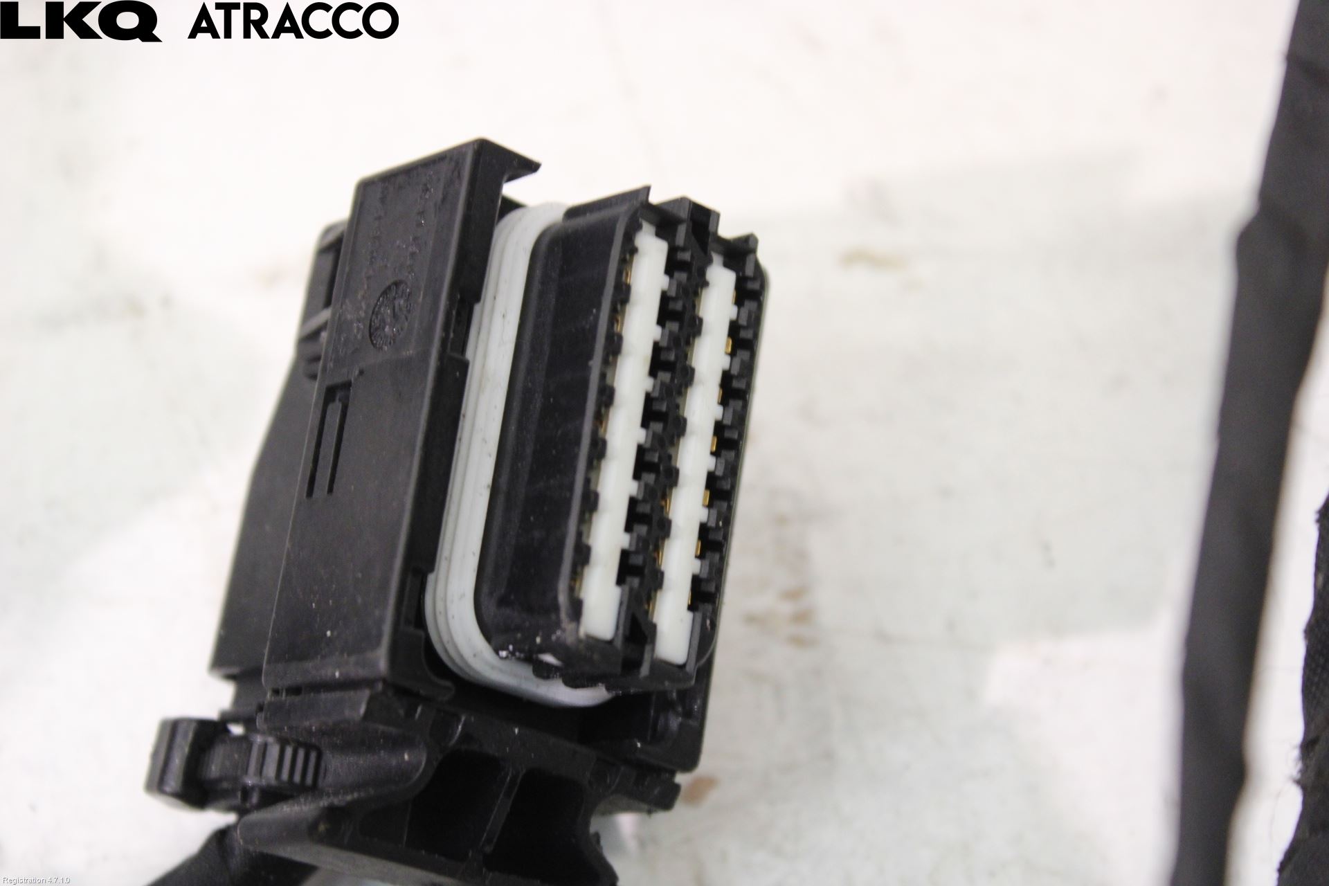 Seat LEON 20- Ledningsnett