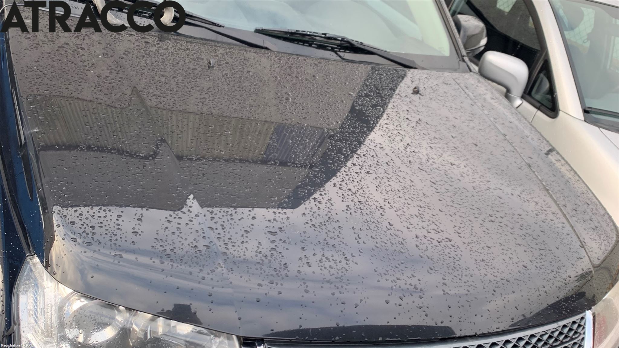 Suzuki GRAND VITARA II 06-14 Panser