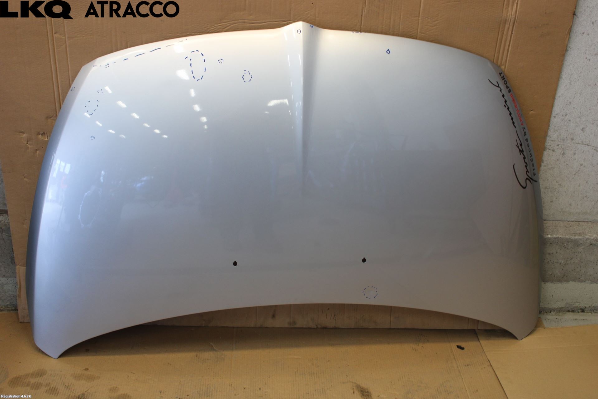 Mitsubishi GRANDIS Panser