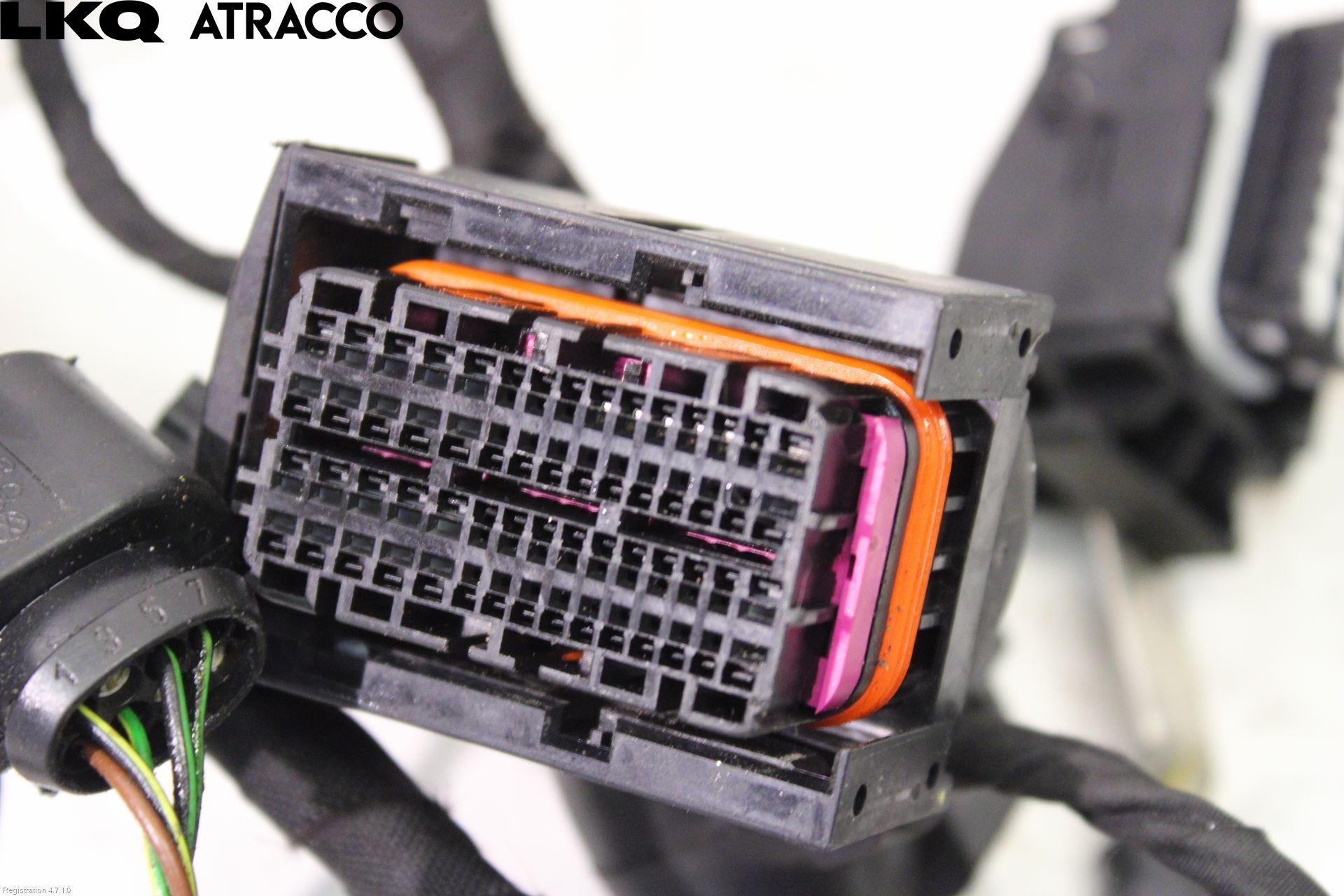 Seat LEON 20- Ledningsnett