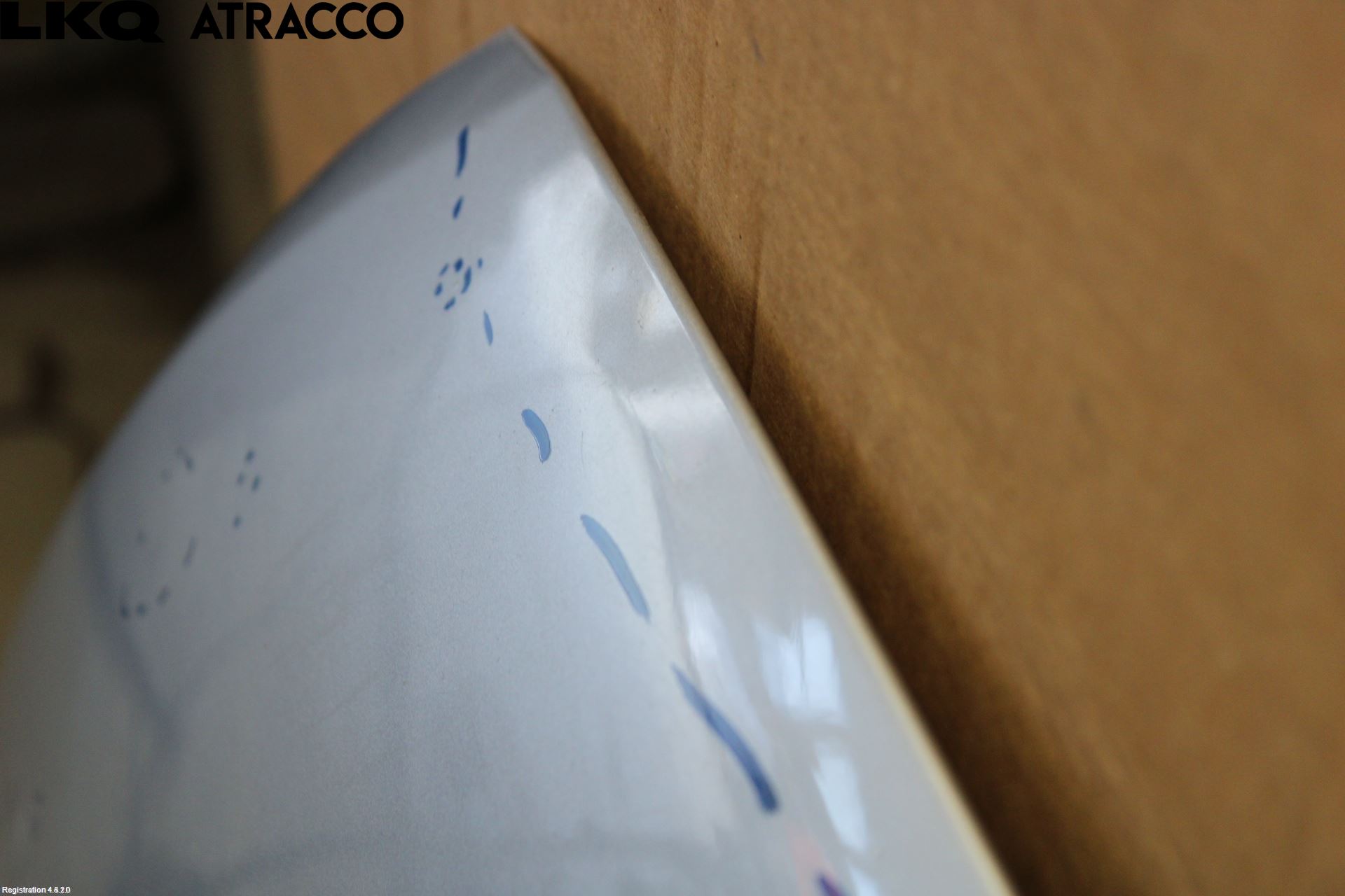 Mitsubishi GRANDIS Panser