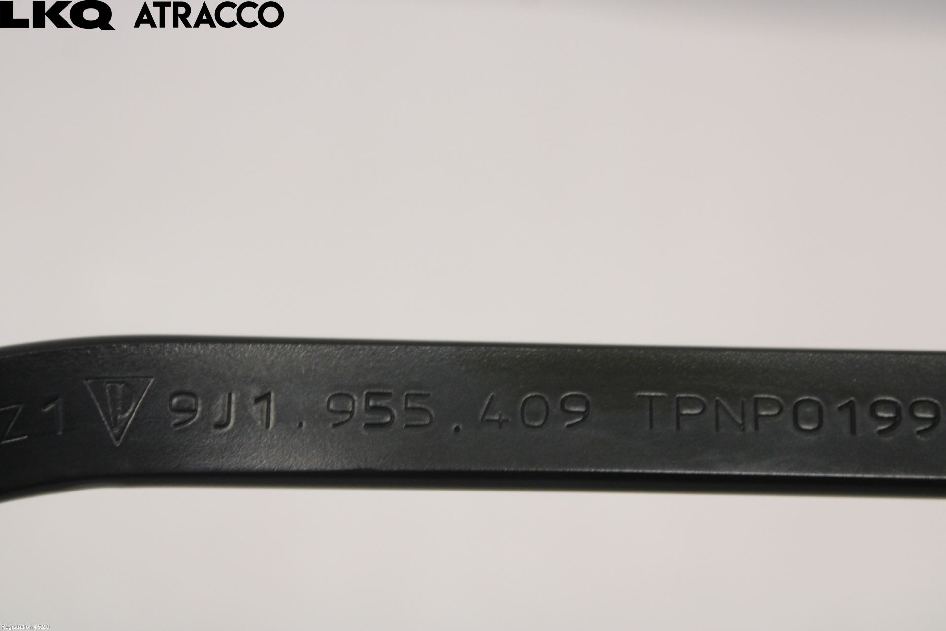 Porsche TAYCAN 20- Viskerarm-Armer Frontrute