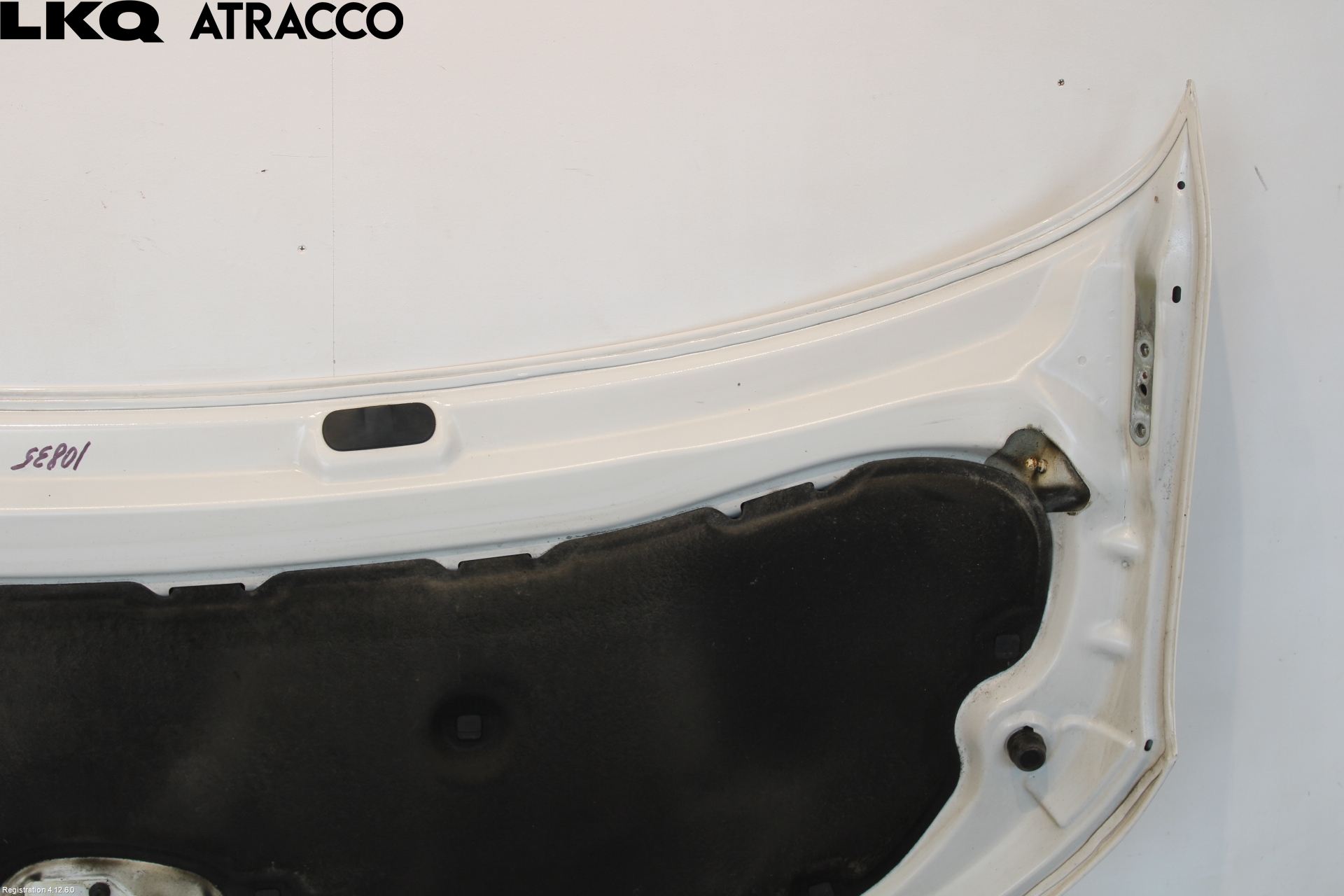 Volkswagen VW TRANSP/CARAVELLE (T6) 16-22 Panser