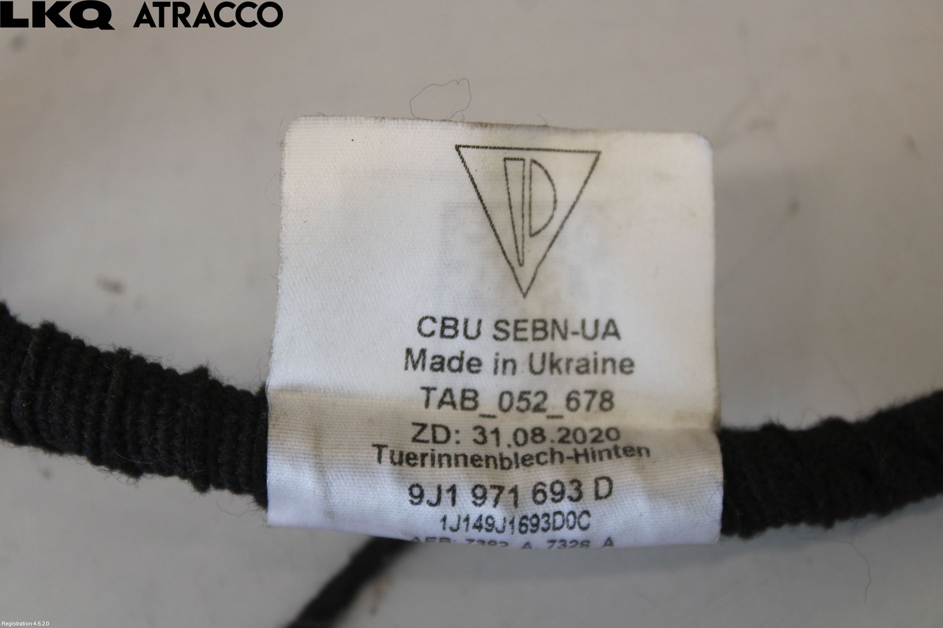 Porsche TAYCAN 20- Ledningsnett