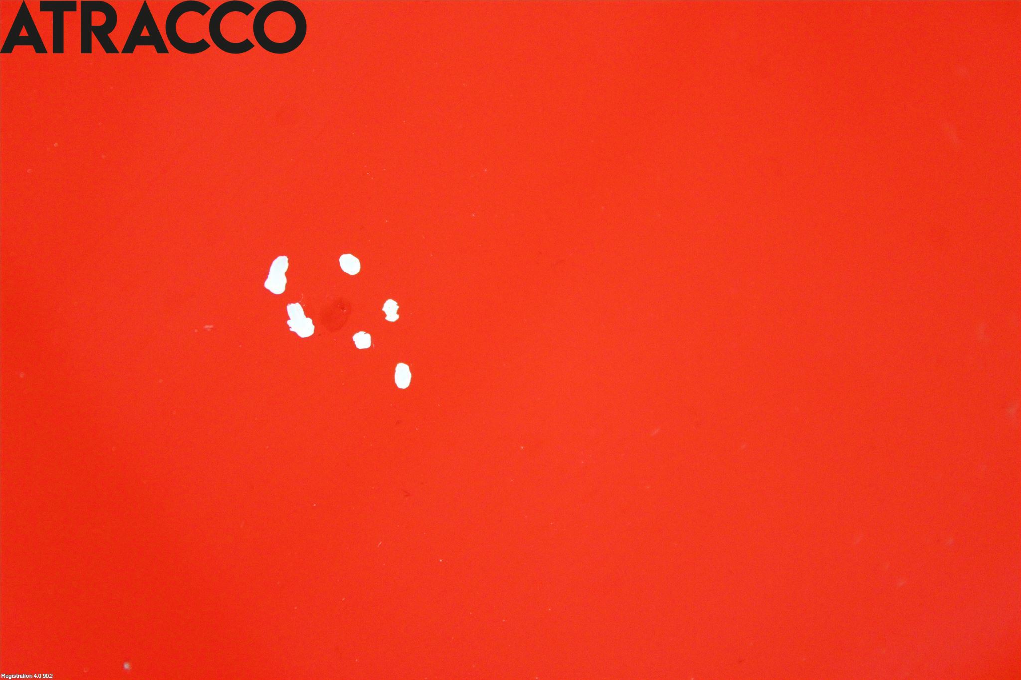 Citroen C4 CACTUS 14-20 Panser