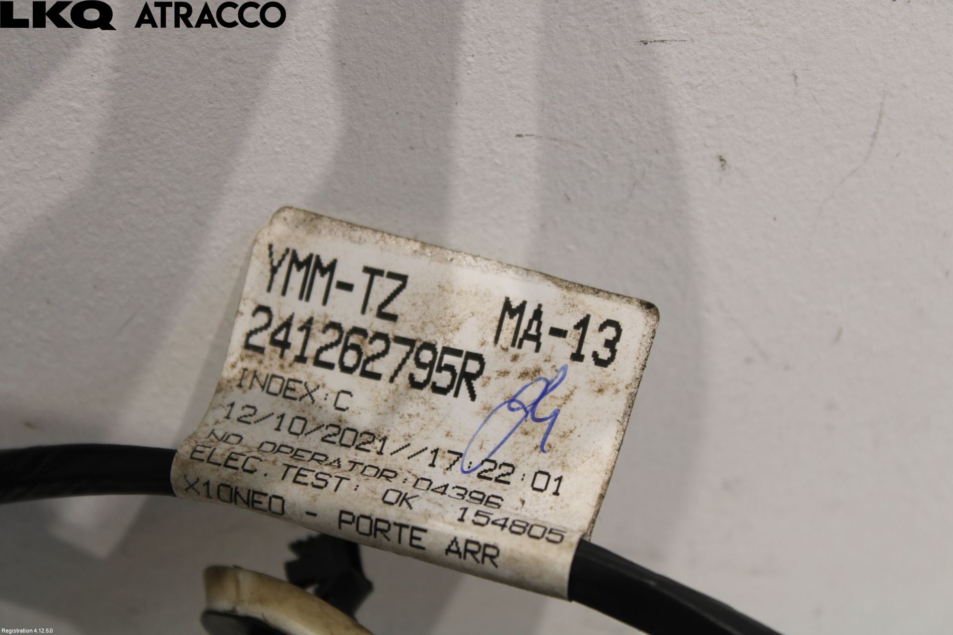 Renault ZOE/E-TECH 13- Ledningsnett