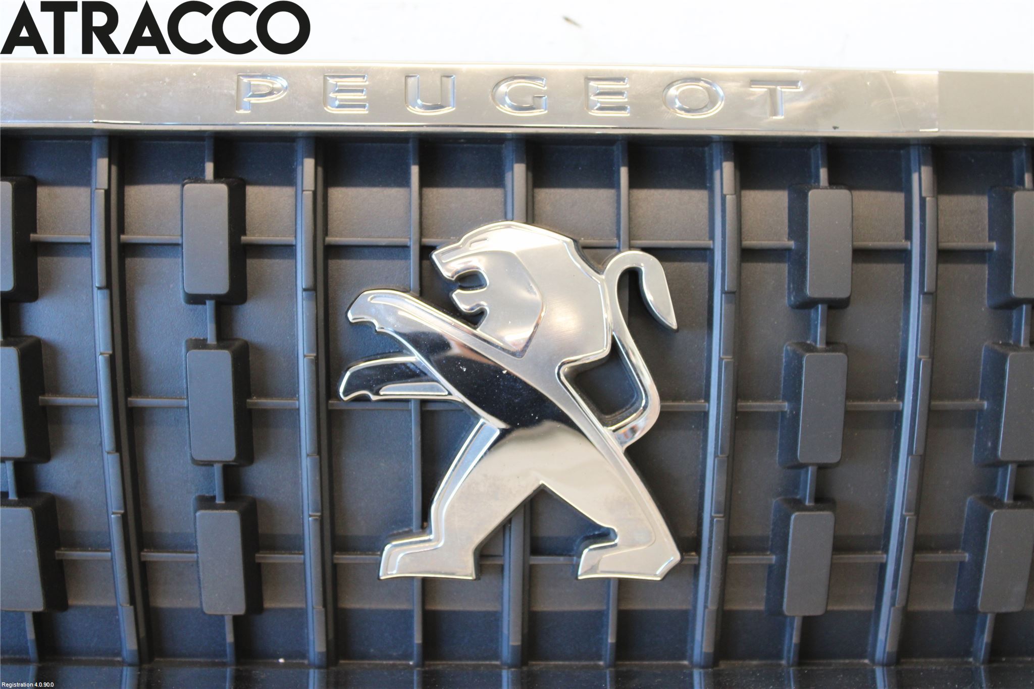 Peugeot EXPERT/E-EXPERT 17- Grill Komplett