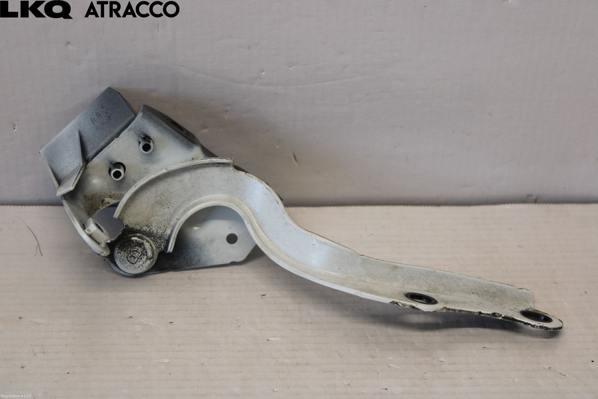 Toyota bZ4X EA10 22- Panser Hengsel - Hengsler