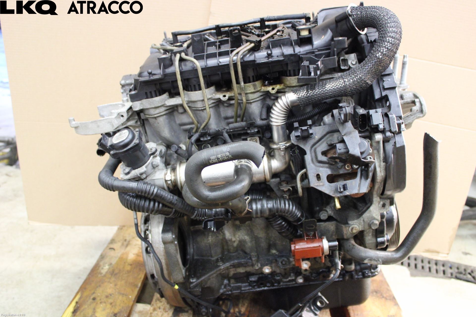 Ford FOCUS 08-11 Motor Diesel