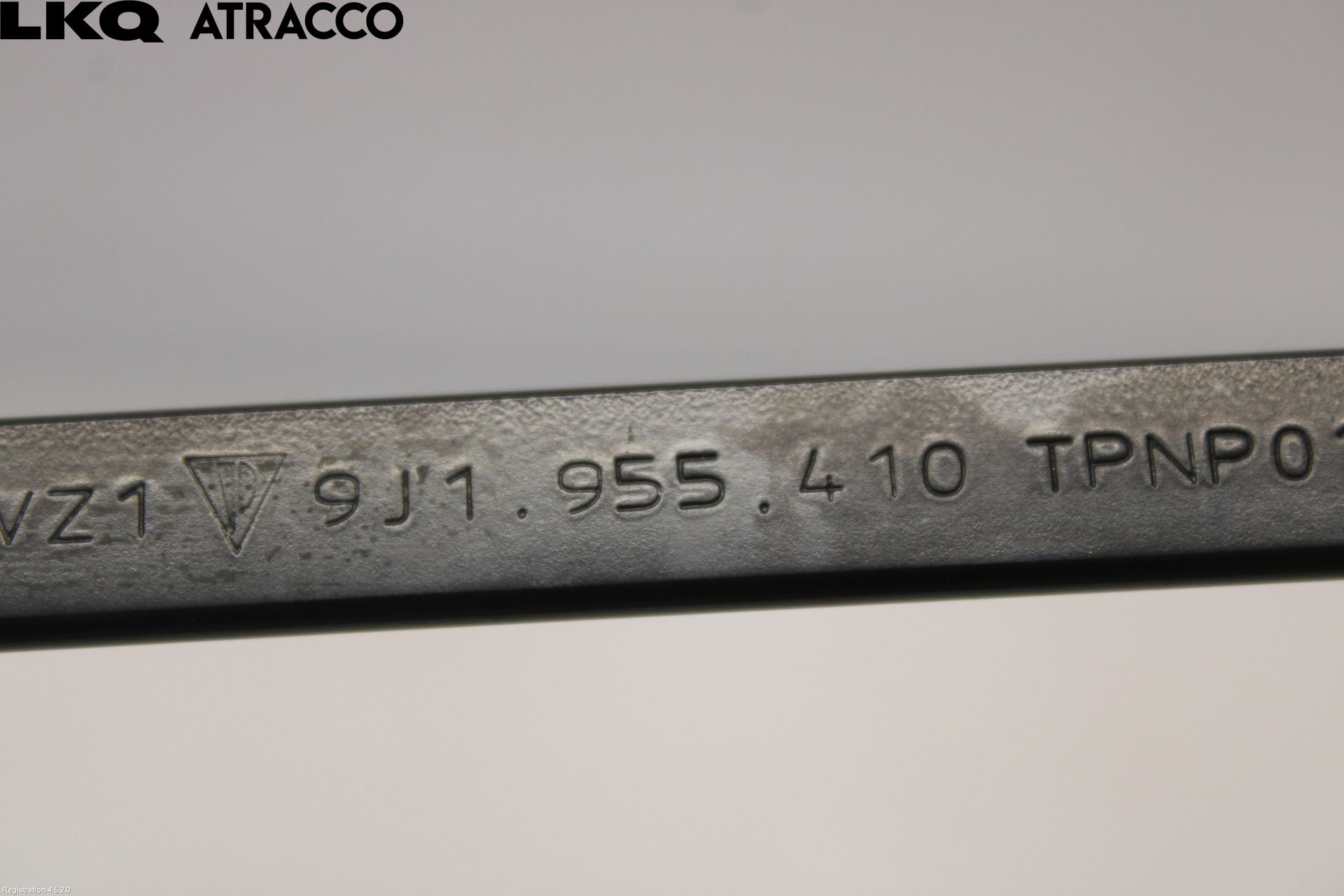 Porsche TAYCAN 20- Viskerarm-Armer Frontrute