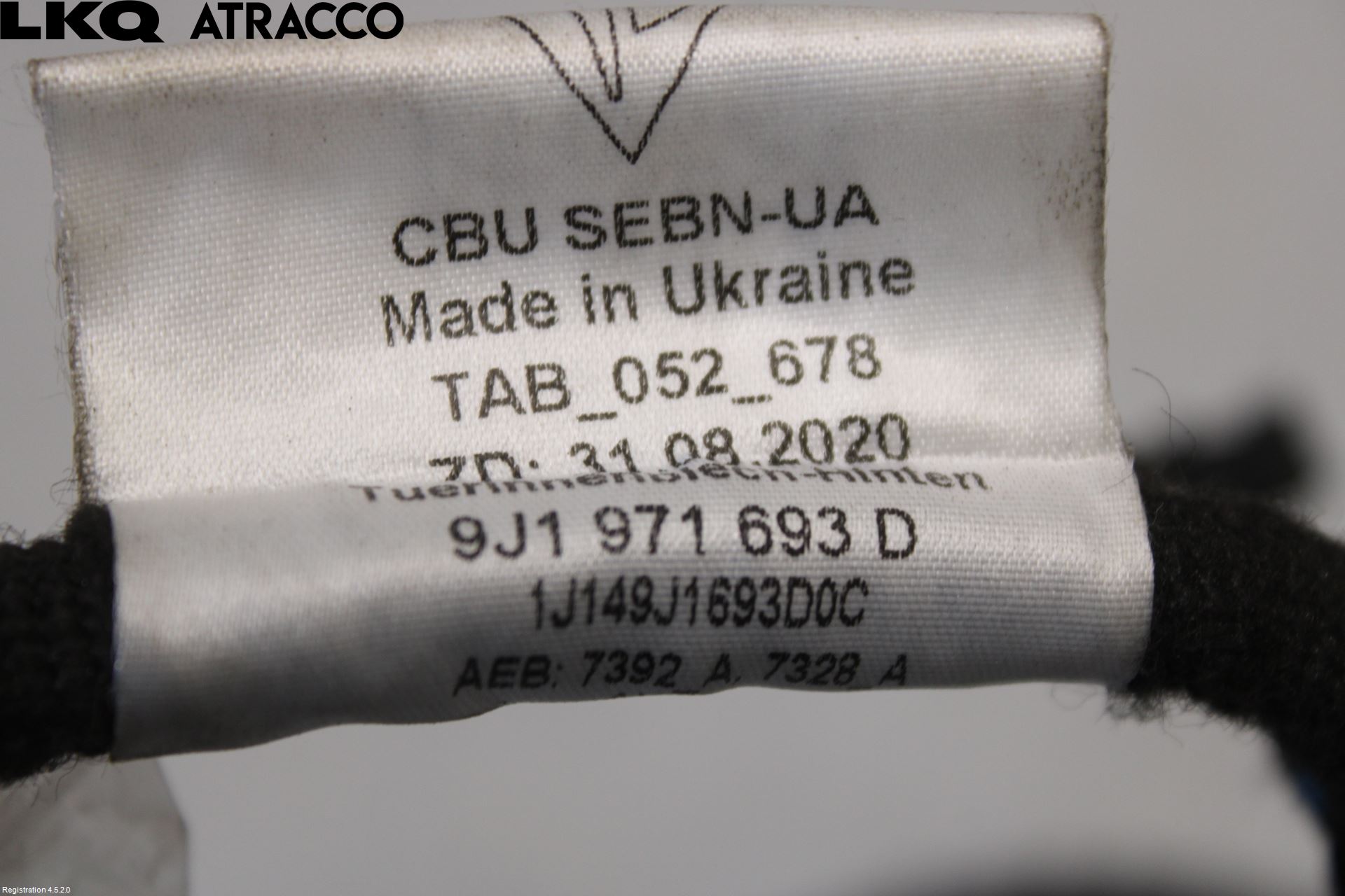 Porsche TAYCAN 20- Ledningsnett