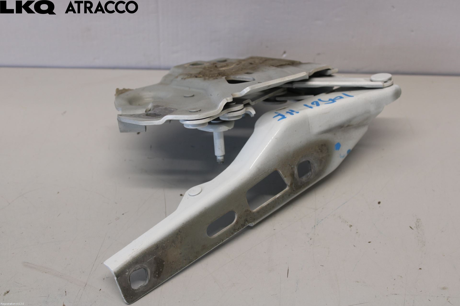 Porsche TAYCAN 20- Panser Hengsel - Hengsler