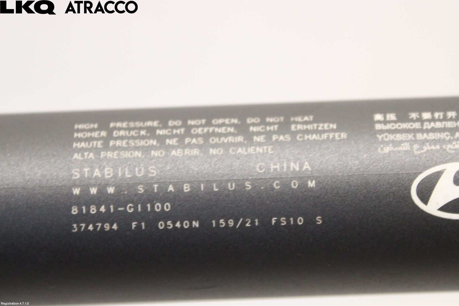 Hyundai IONIQ 5 NE 22- Bakluke Demper-Gassfjær