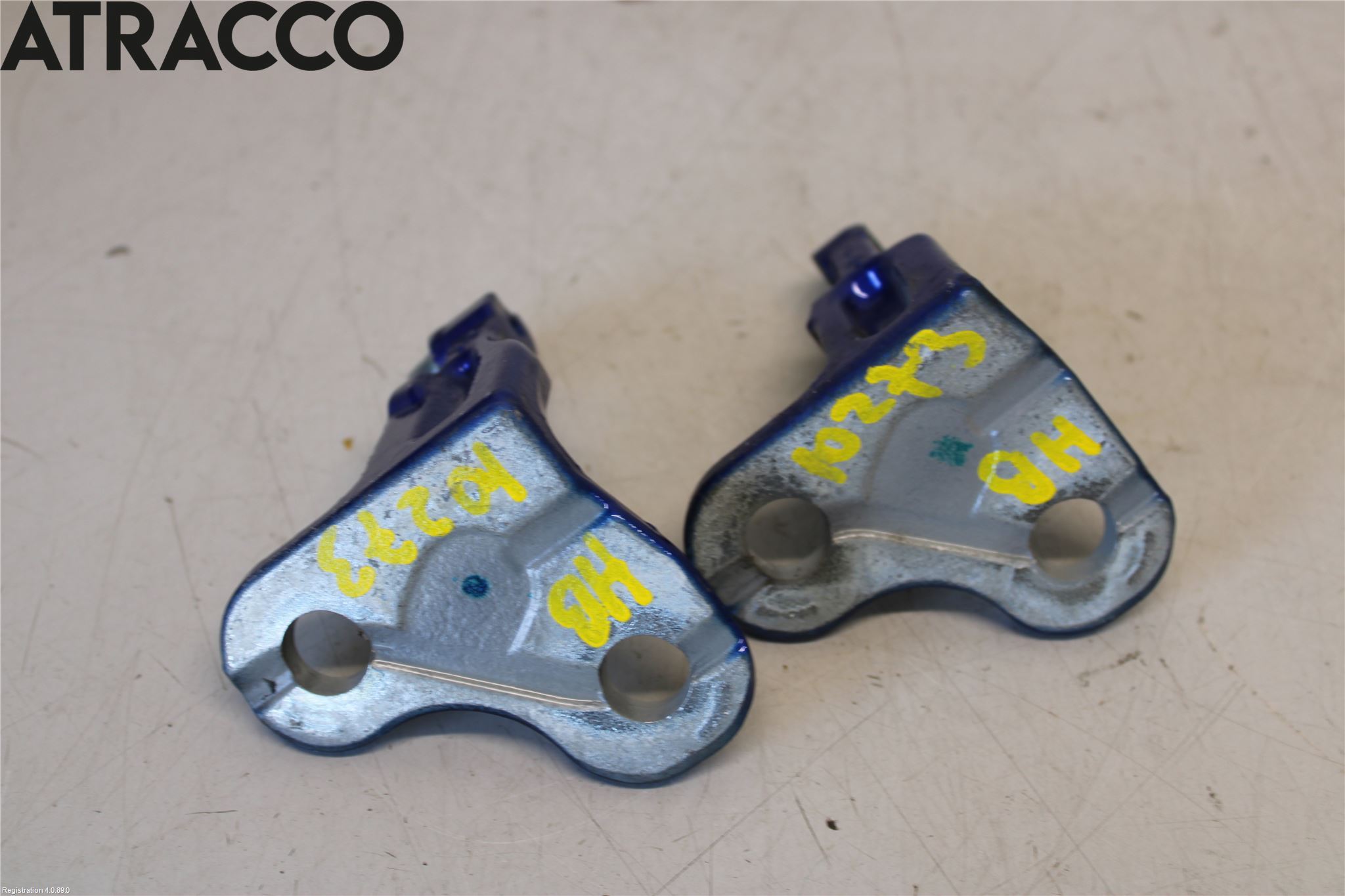 Jaguar I-PACE 18- Dørhengsel