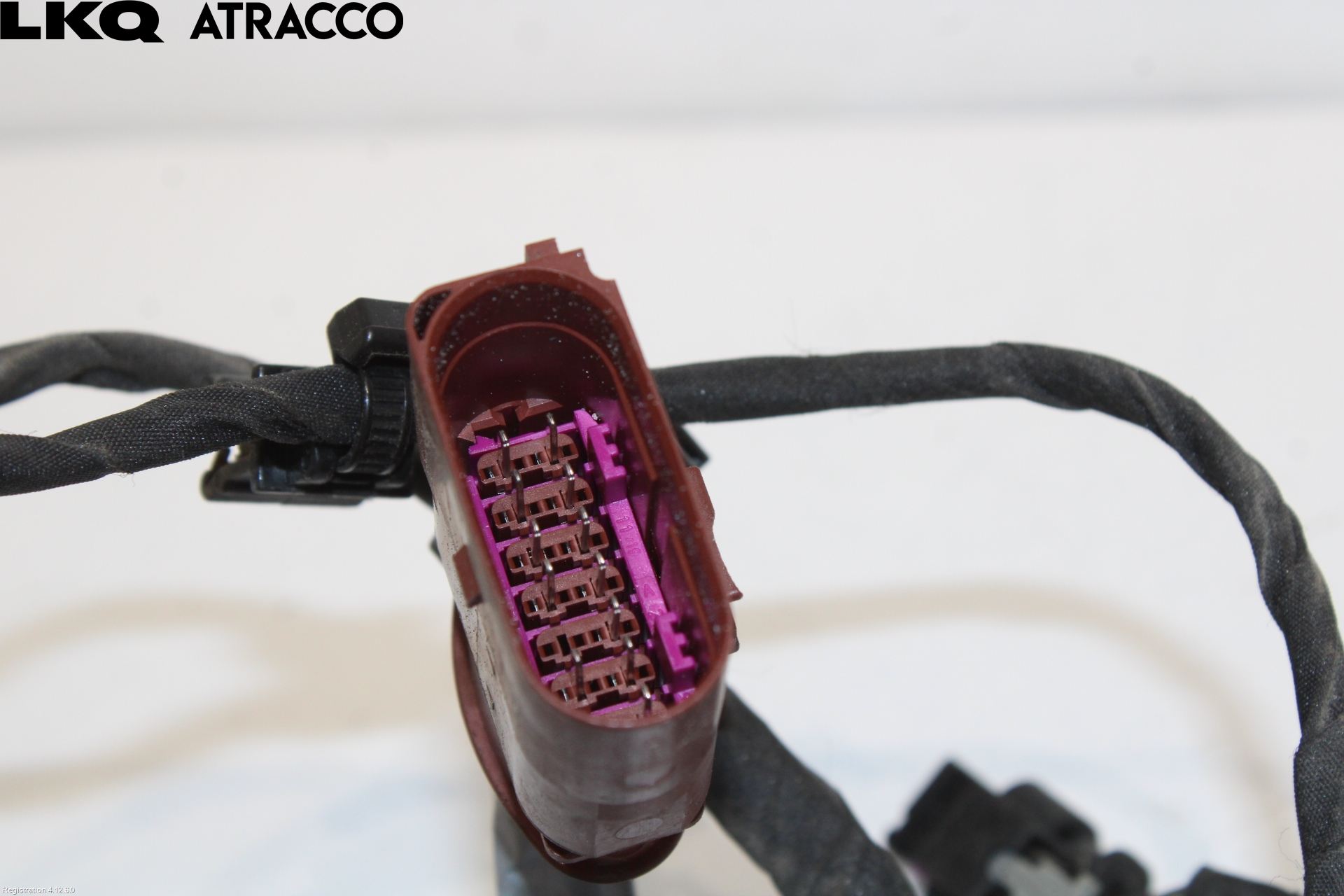 Audi E-TRON, S GE 19- Ledningsnett