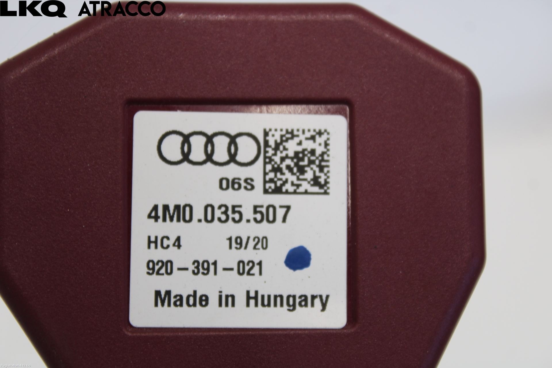 Audi E-TRON, S GE 19- Stereo Antenne Radio-Tv