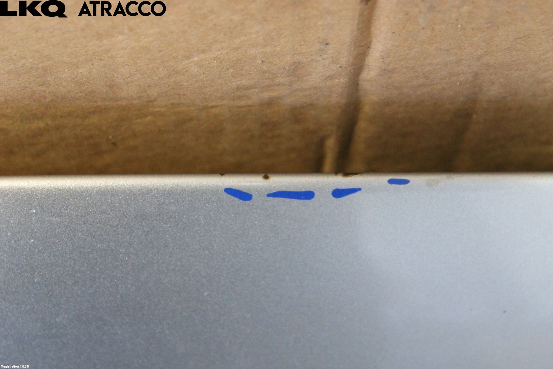 Mitsubishi GRANDIS Panser