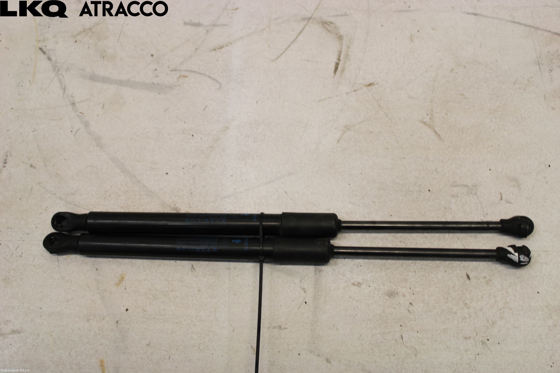 Porsche TAYCAN 20- Panser Demper-Gassfjær